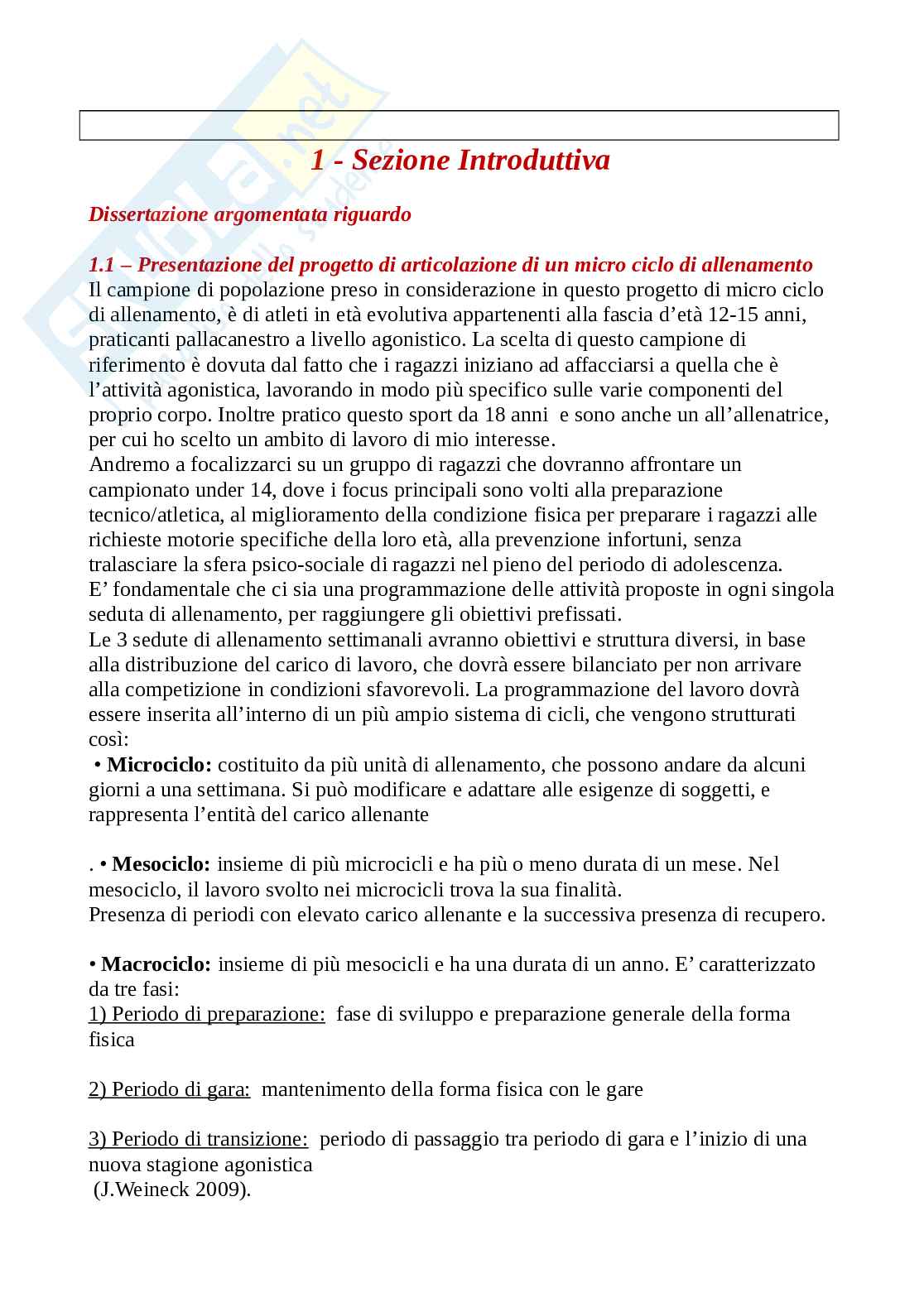 Insegnamento Teoria, tecnica, didattica - Esercizio fisico adattato alle diverse fasce di età Pag. 2