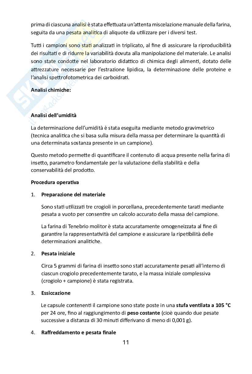 Sviluppo di un integratore proteico eco-innovativo a base di Tenebrio molitor Pag. 11