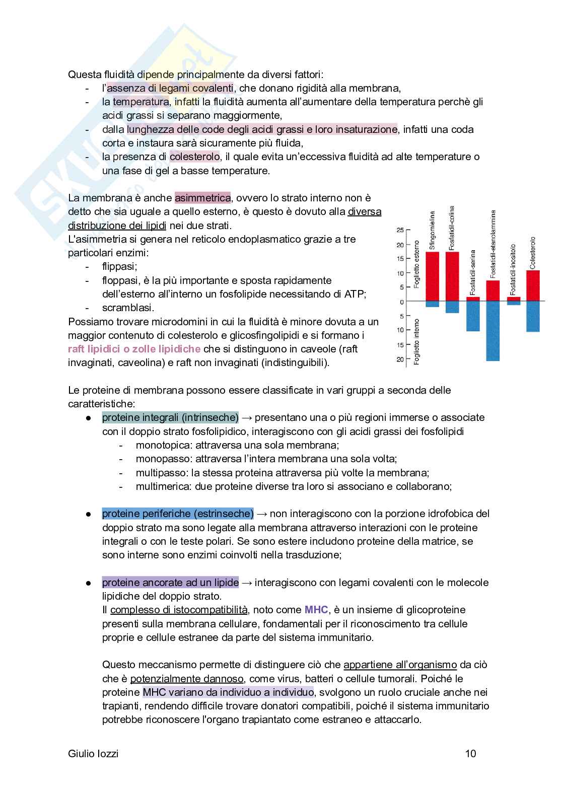 Fisiologia generale Pag. 11