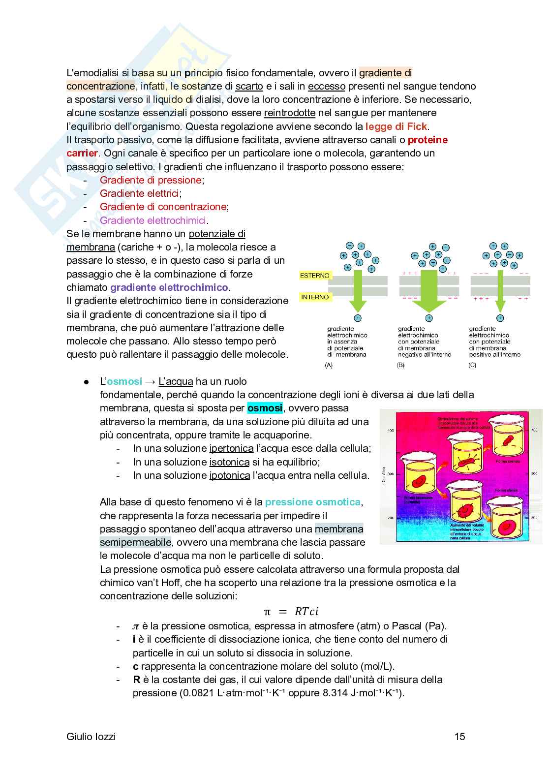 Fisiologia generale Pag. 16