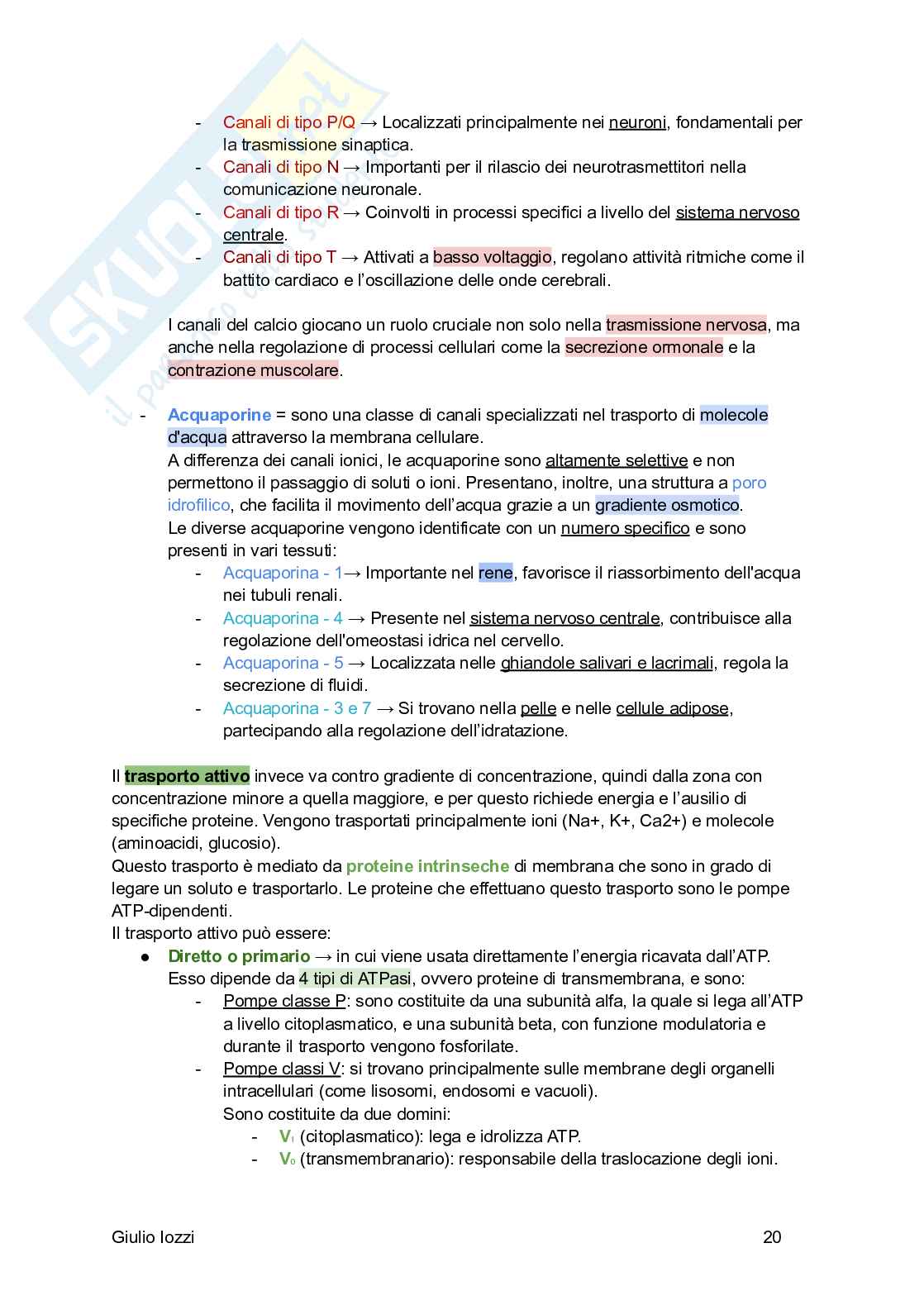 Fisiologia generale Pag. 21