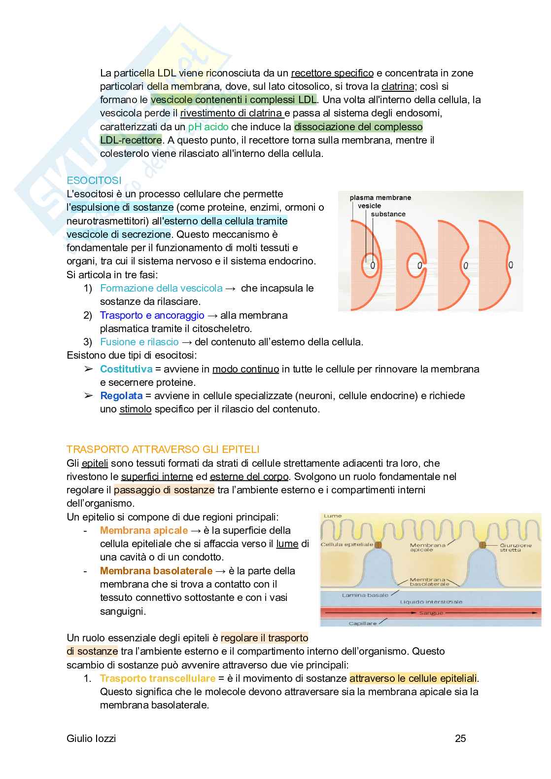 Fisiologia generale Pag. 26