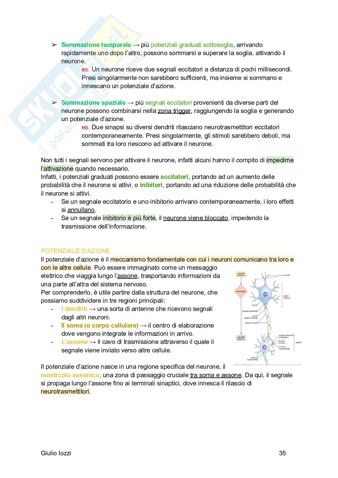 Fisiologia generale Pag. 36