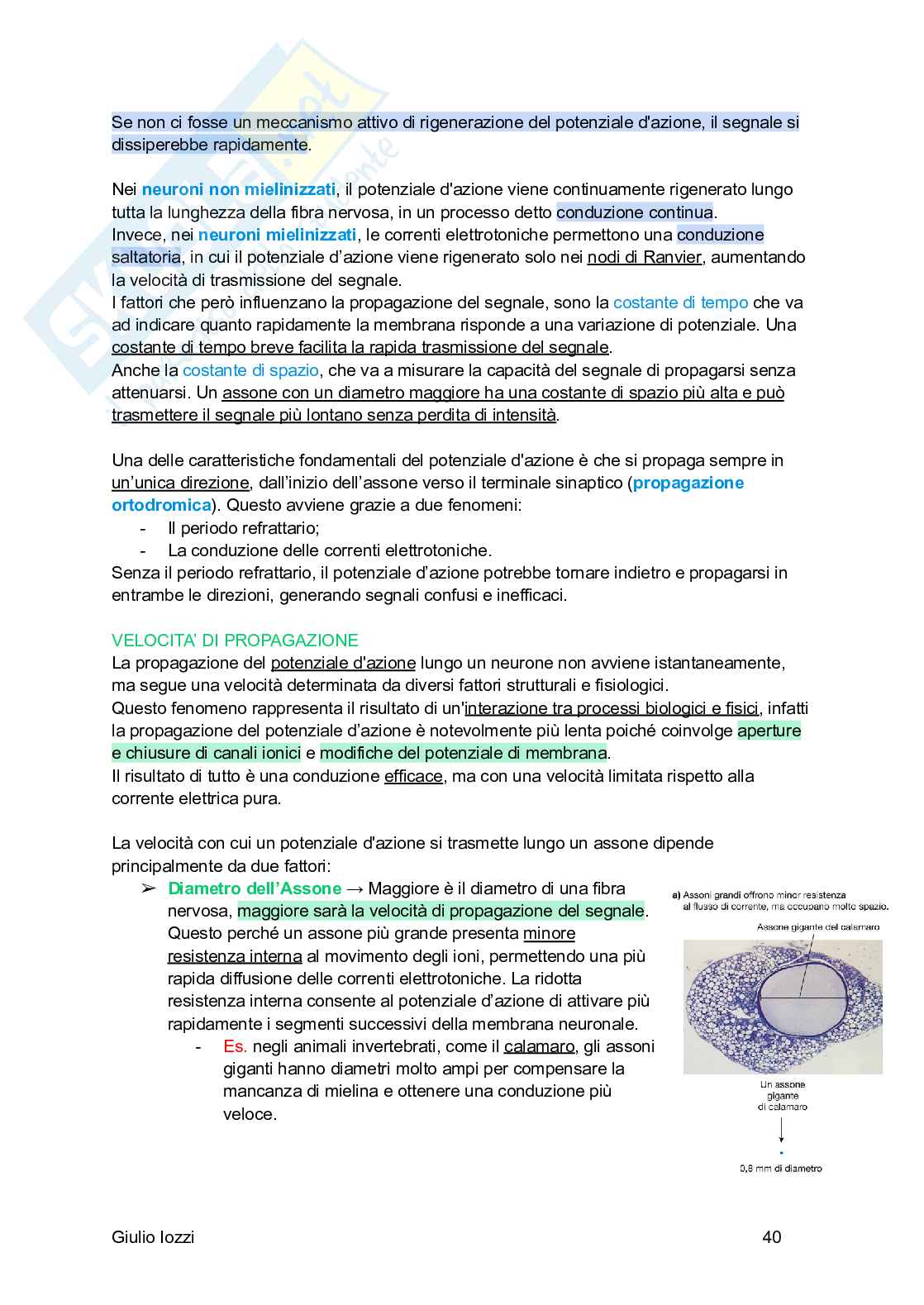Fisiologia generale Pag. 41