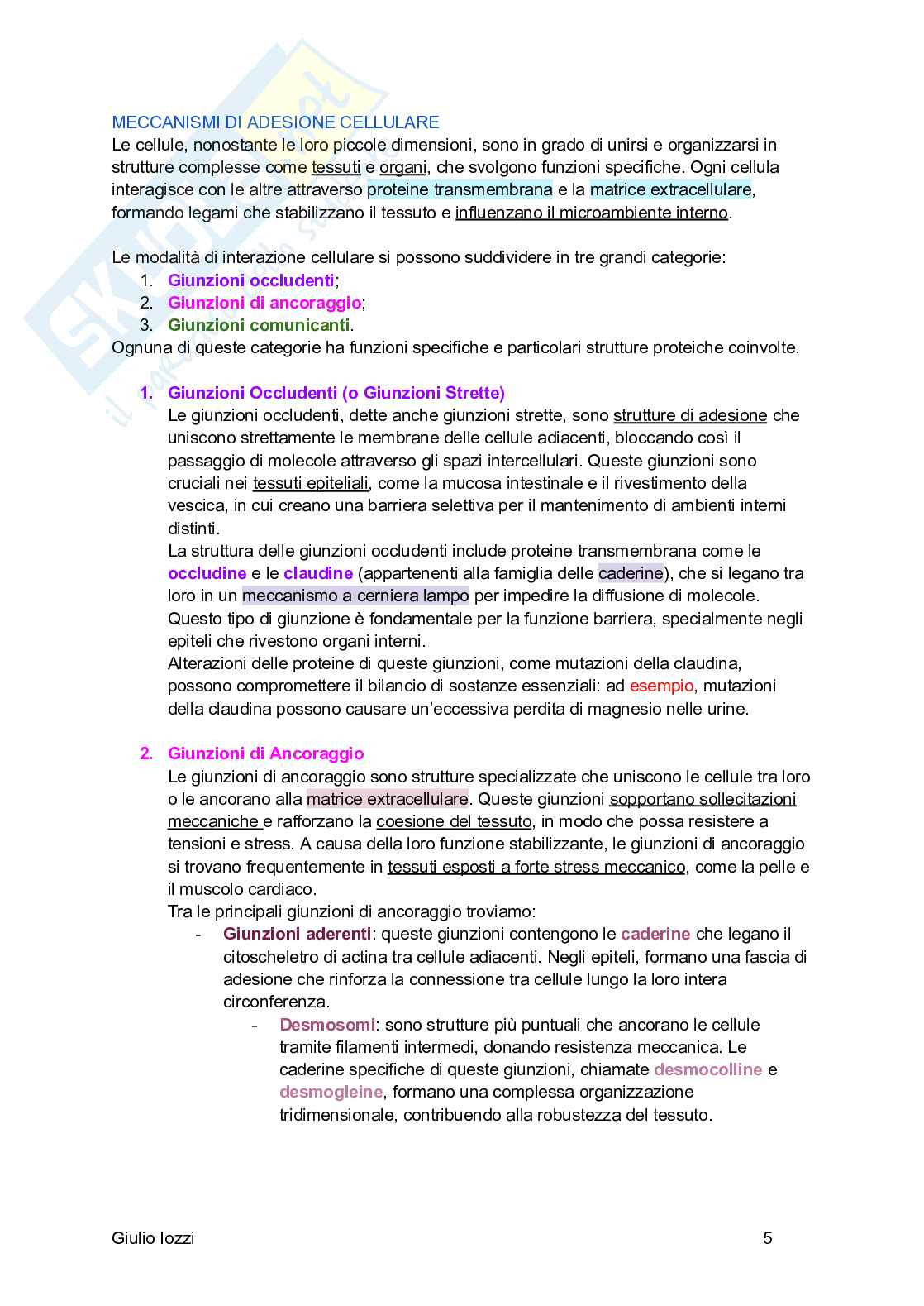 Fisiologia generale Pag. 6