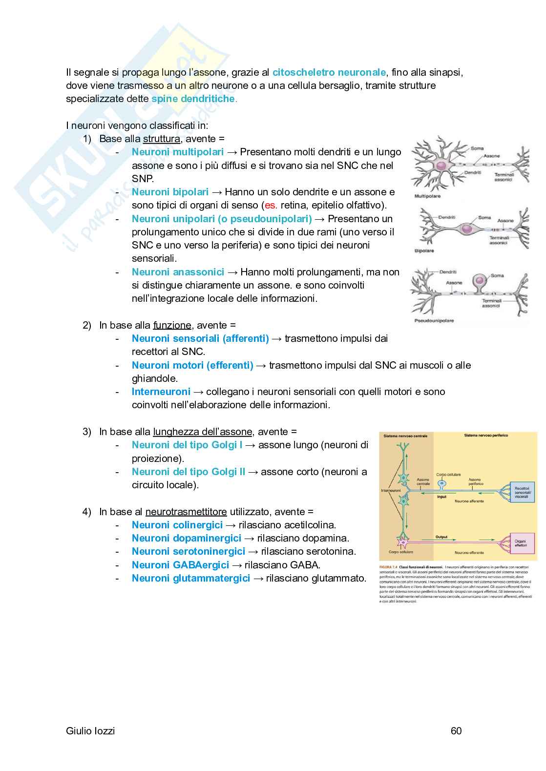 Fisiologia generale Pag. 61