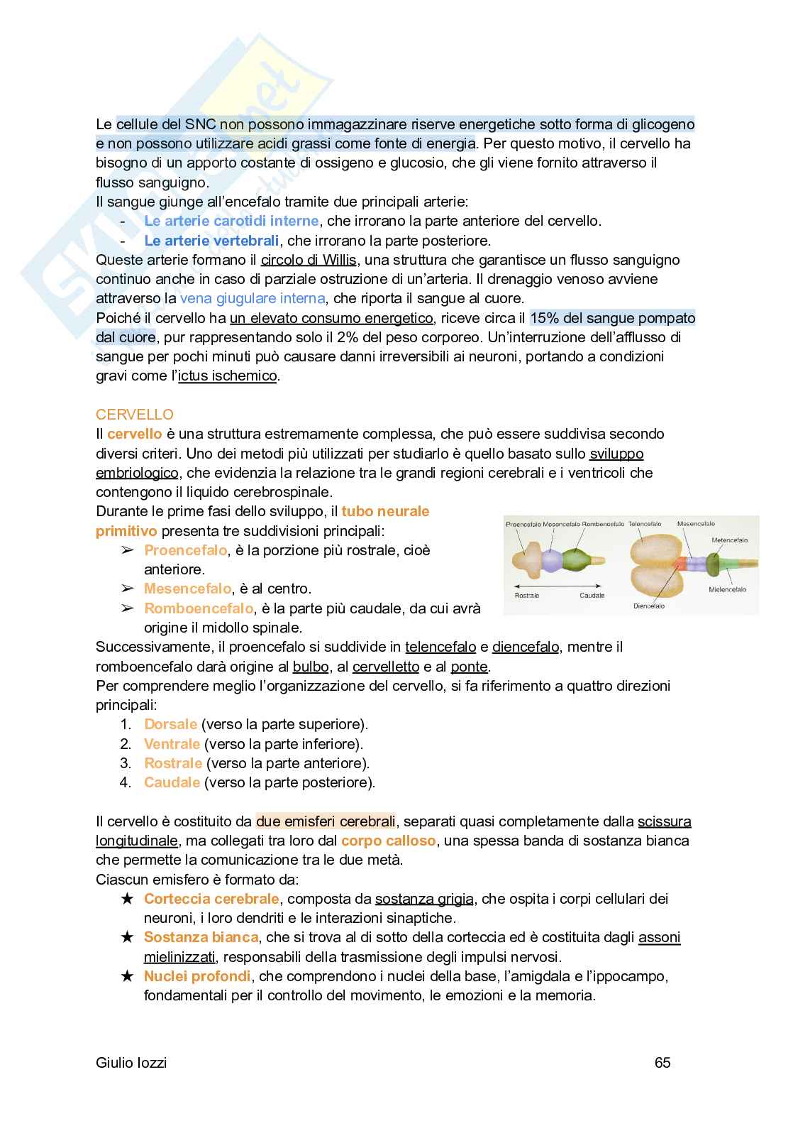 Fisiologia generale Pag. 66