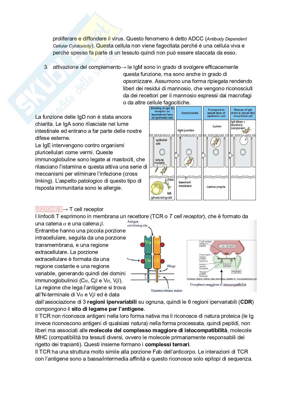 Appunti presi a lezione di Immunologia Pag. 16
