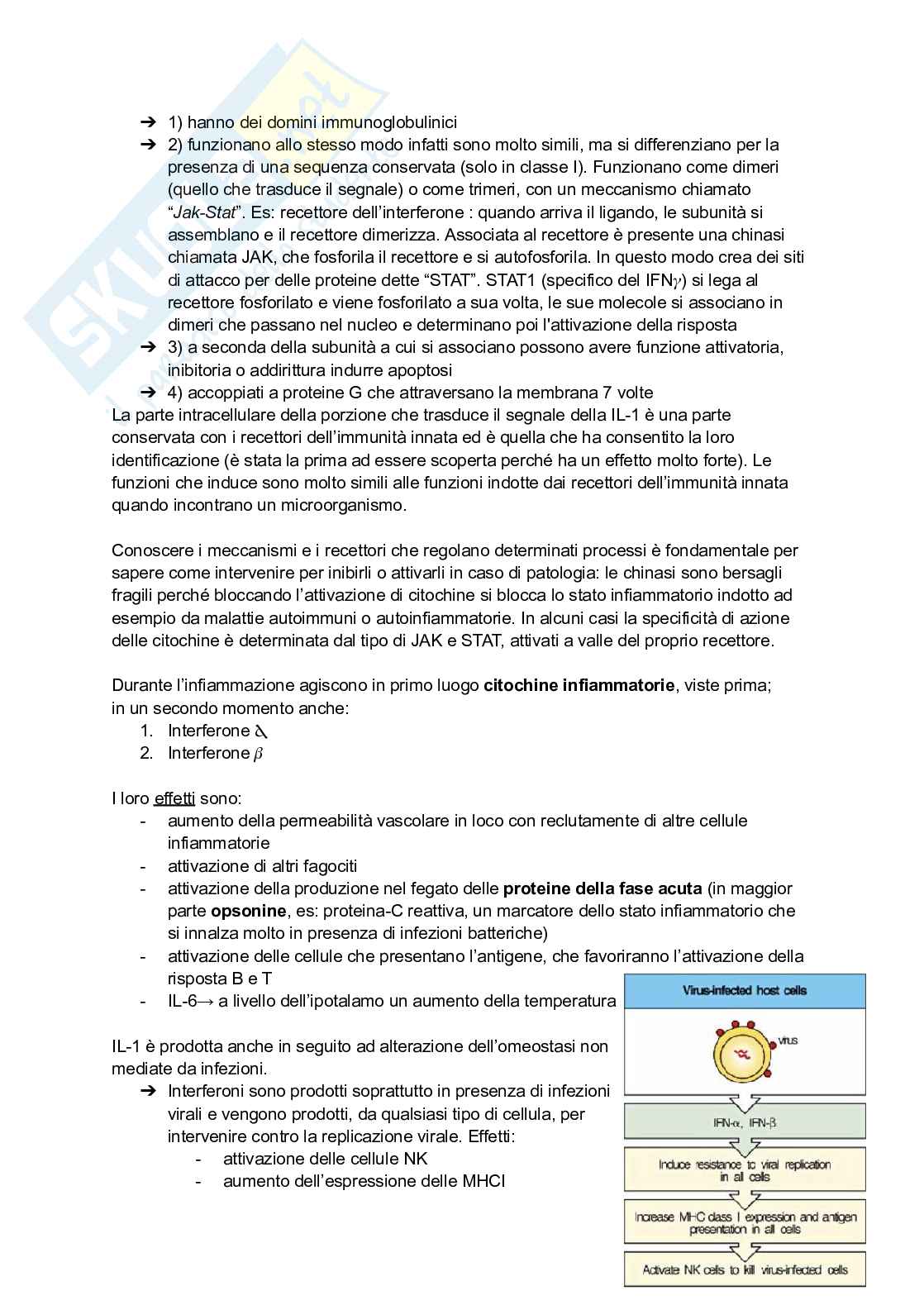 Appunti presi a lezione di Immunologia Pag. 26