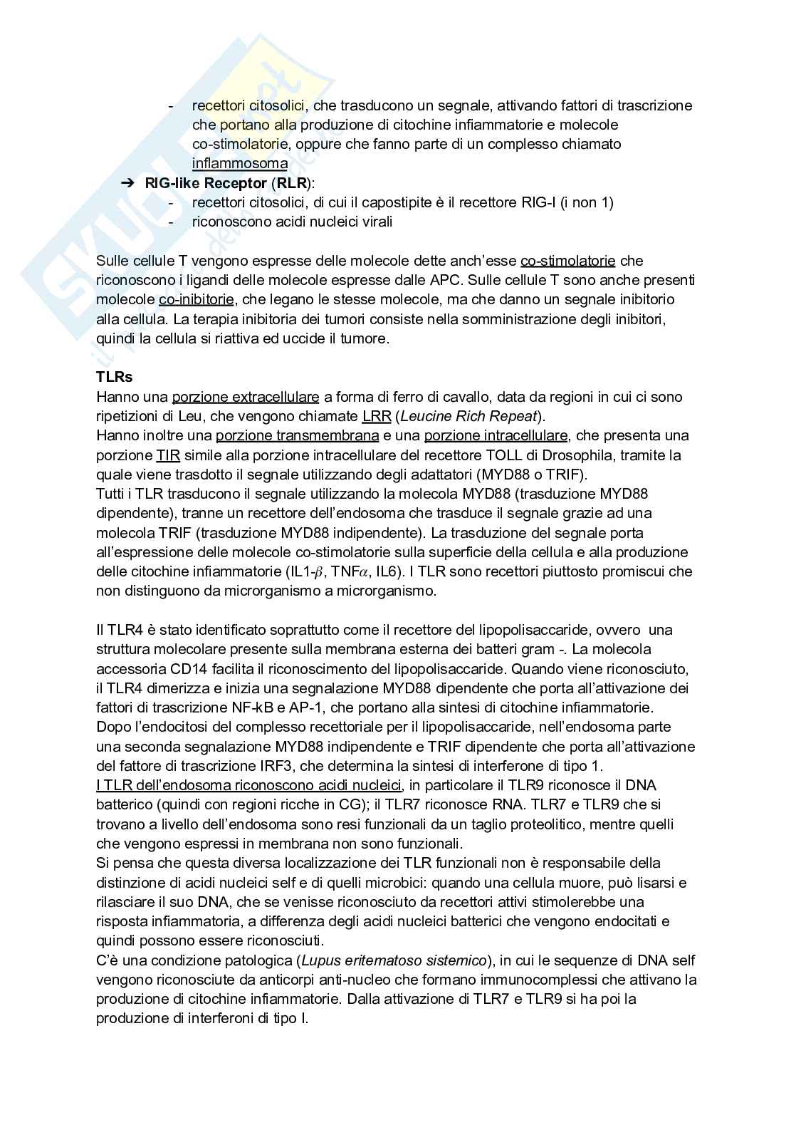 Appunti presi a lezione di Immunologia Pag. 31