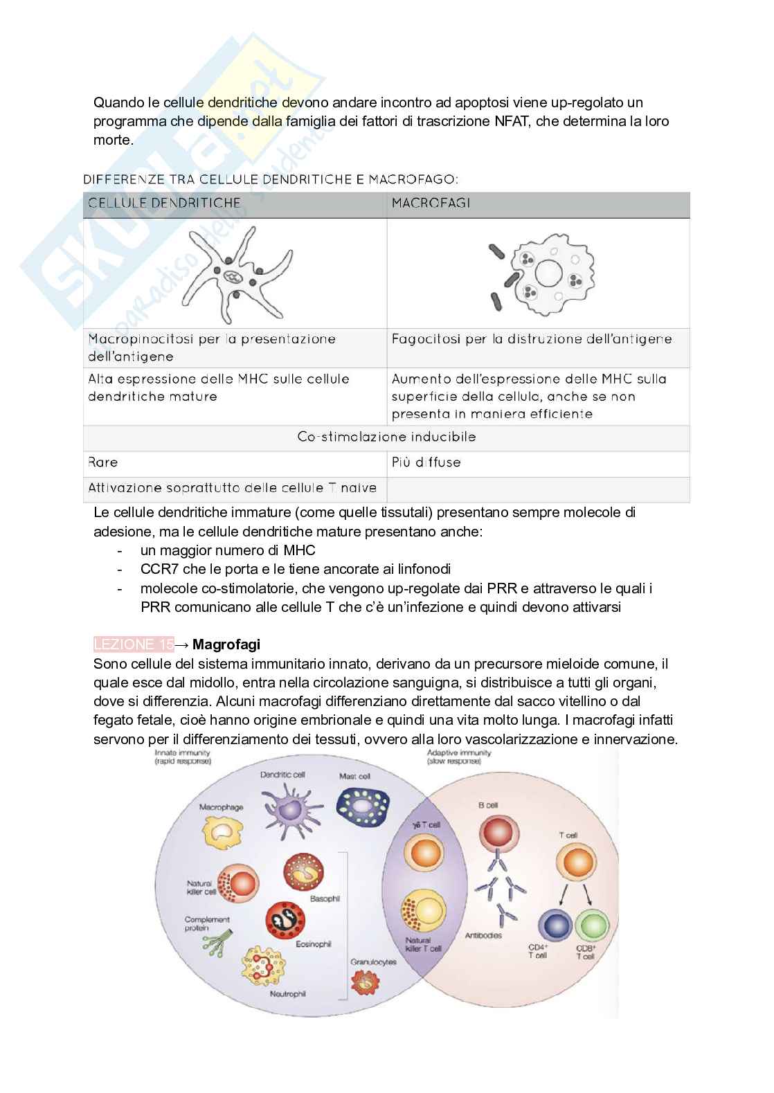 Appunti presi a lezione di Immunologia Pag. 46