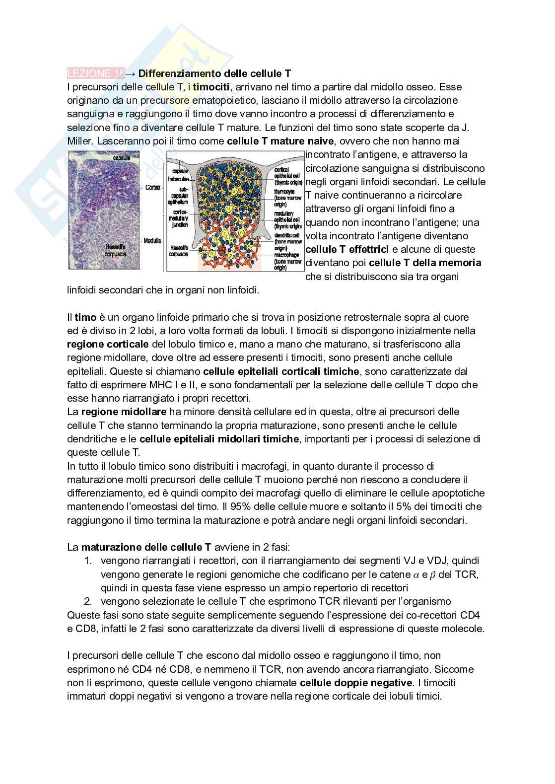 Appunti presi a lezione di Immunologia Pag. 56