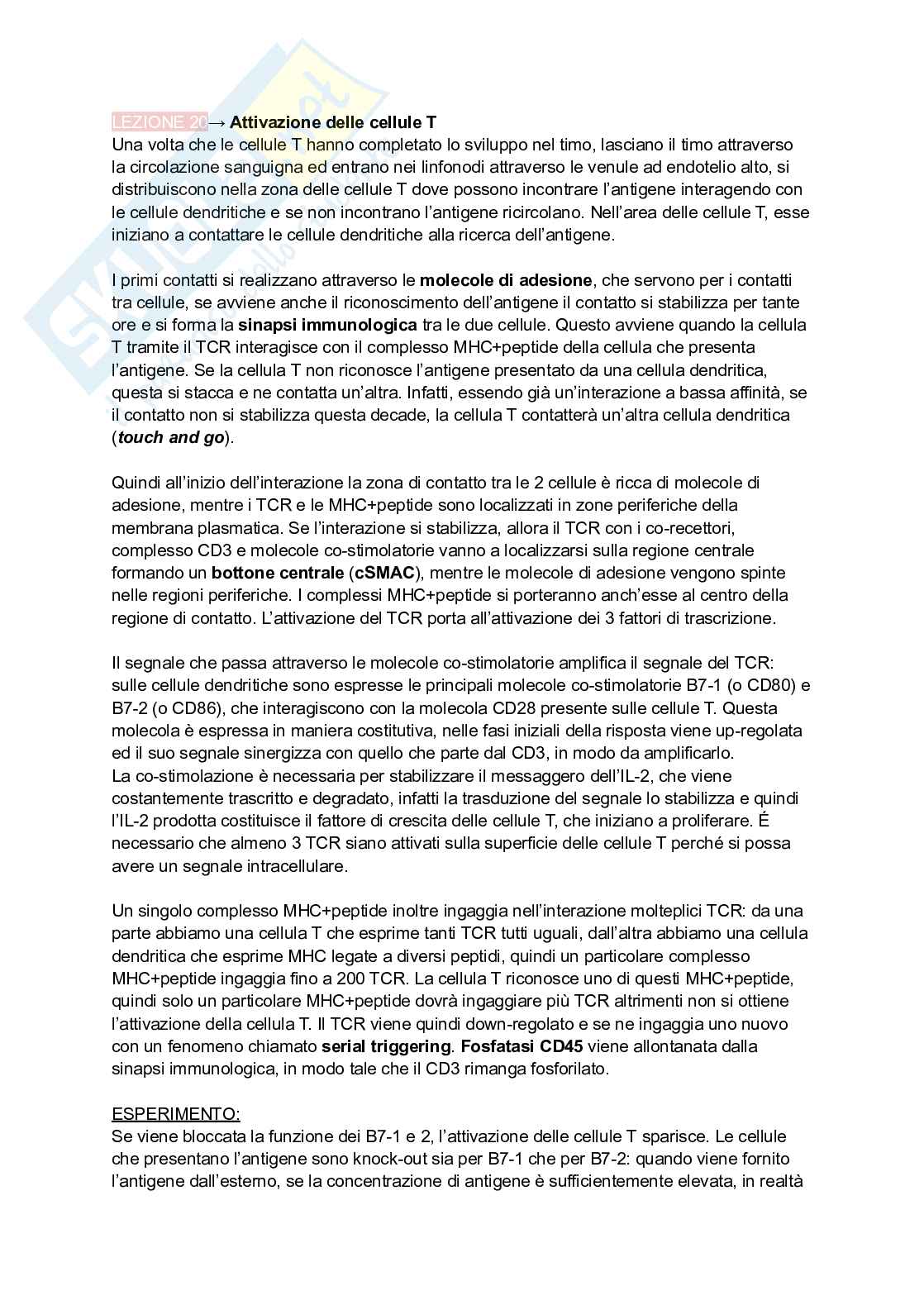 Appunti presi a lezione di Immunologia Pag. 66