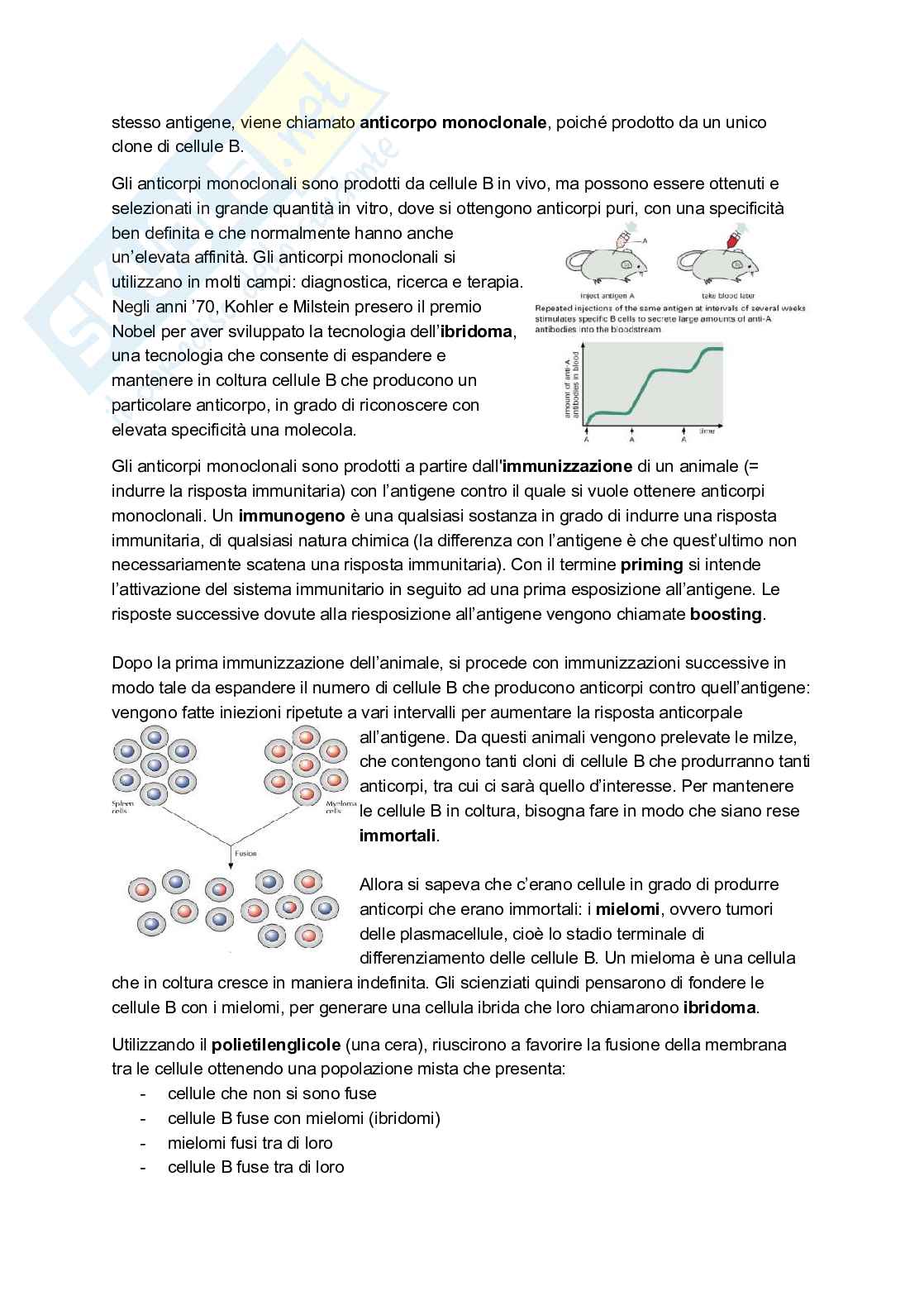 Appunti presi a lezione di Immunologia Pag. 76