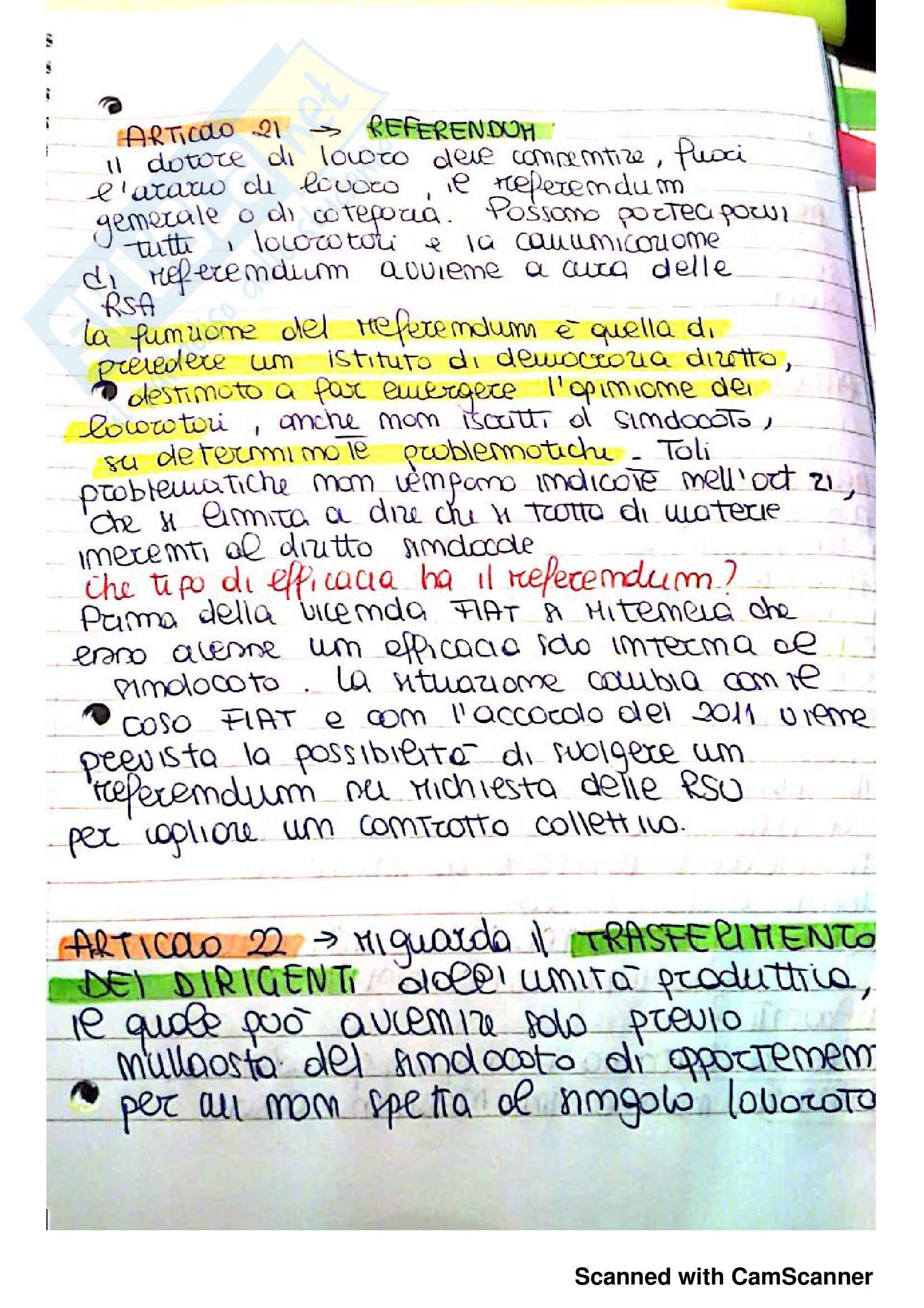 Diritto sindacale Pag. 21