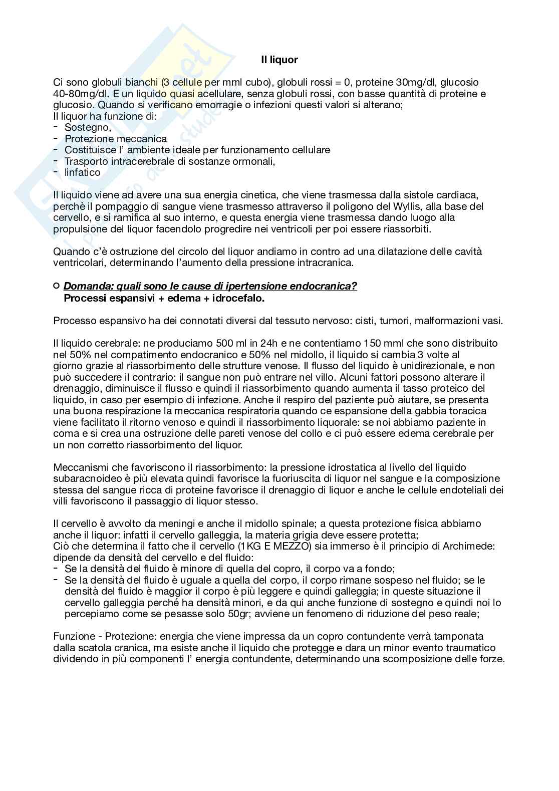 Neurochirurgia per professioni sanitarie Pag. 6