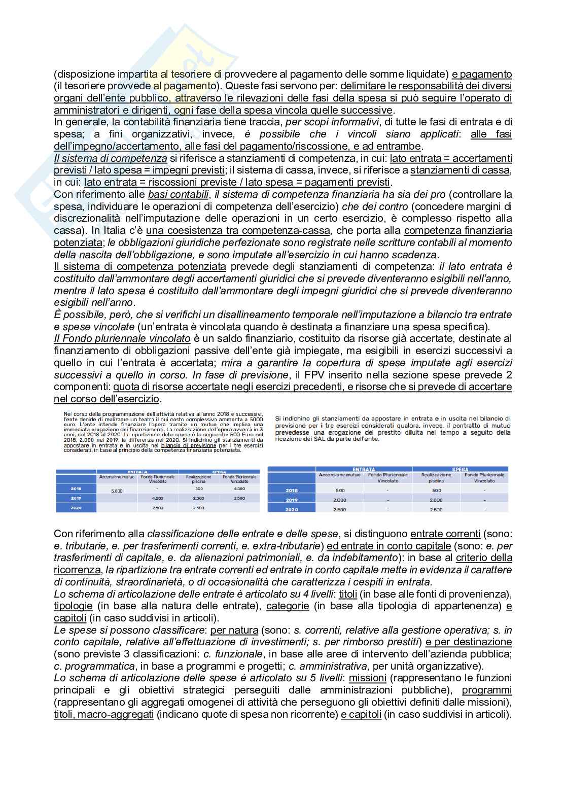 Appunti di Management e sistemi contabili delle aziende pubbliche Pag. 6