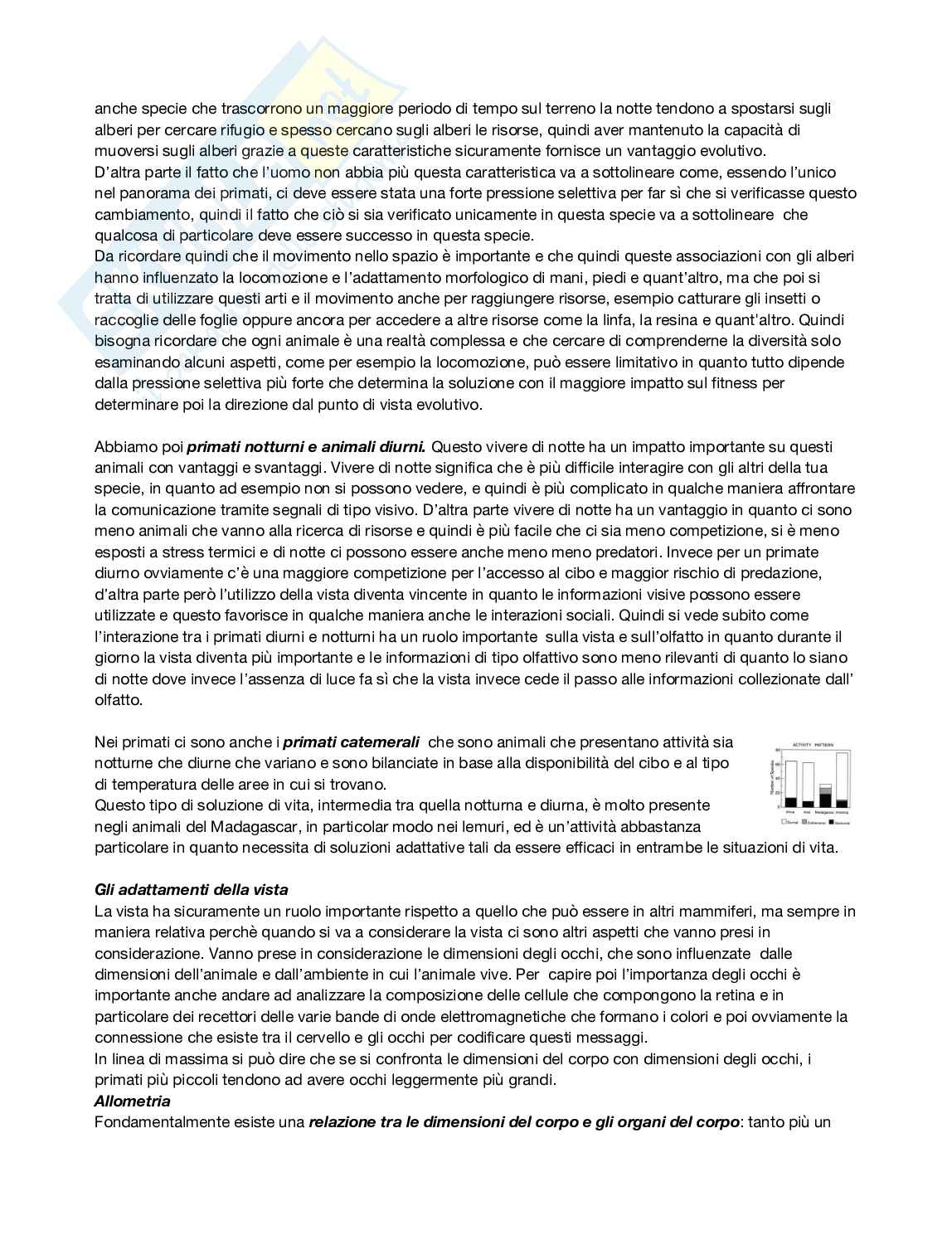 Antropologia  Pag. 11