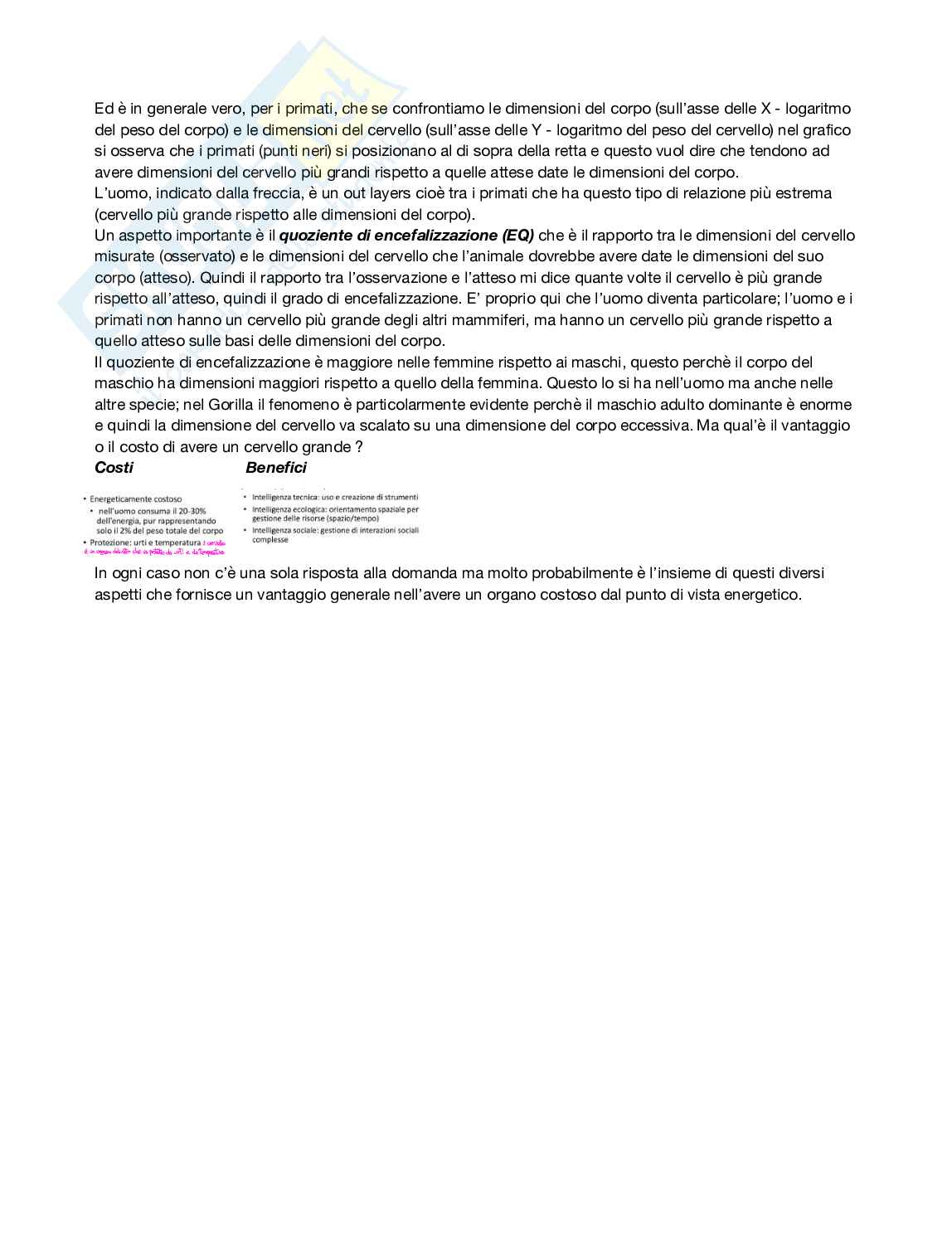 Antropologia  Pag. 16