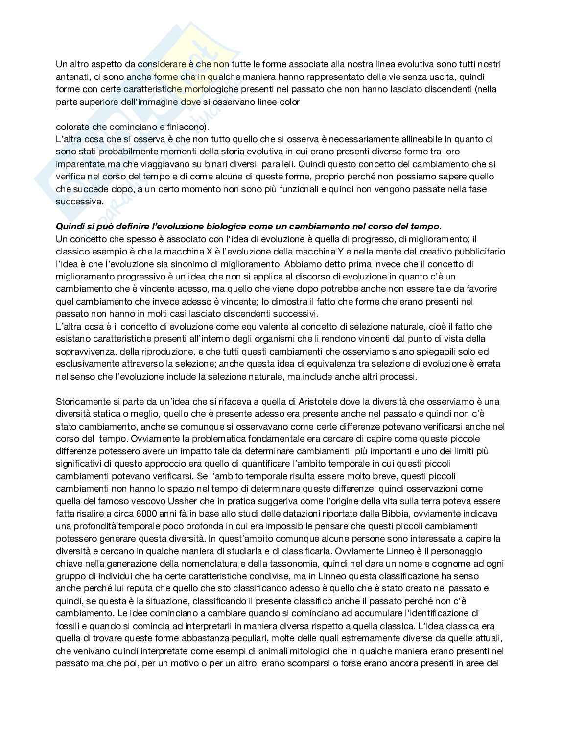 Antropologia  Pag. 2