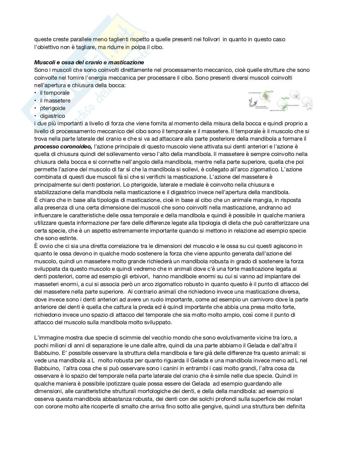 Antropologia  Pag. 21