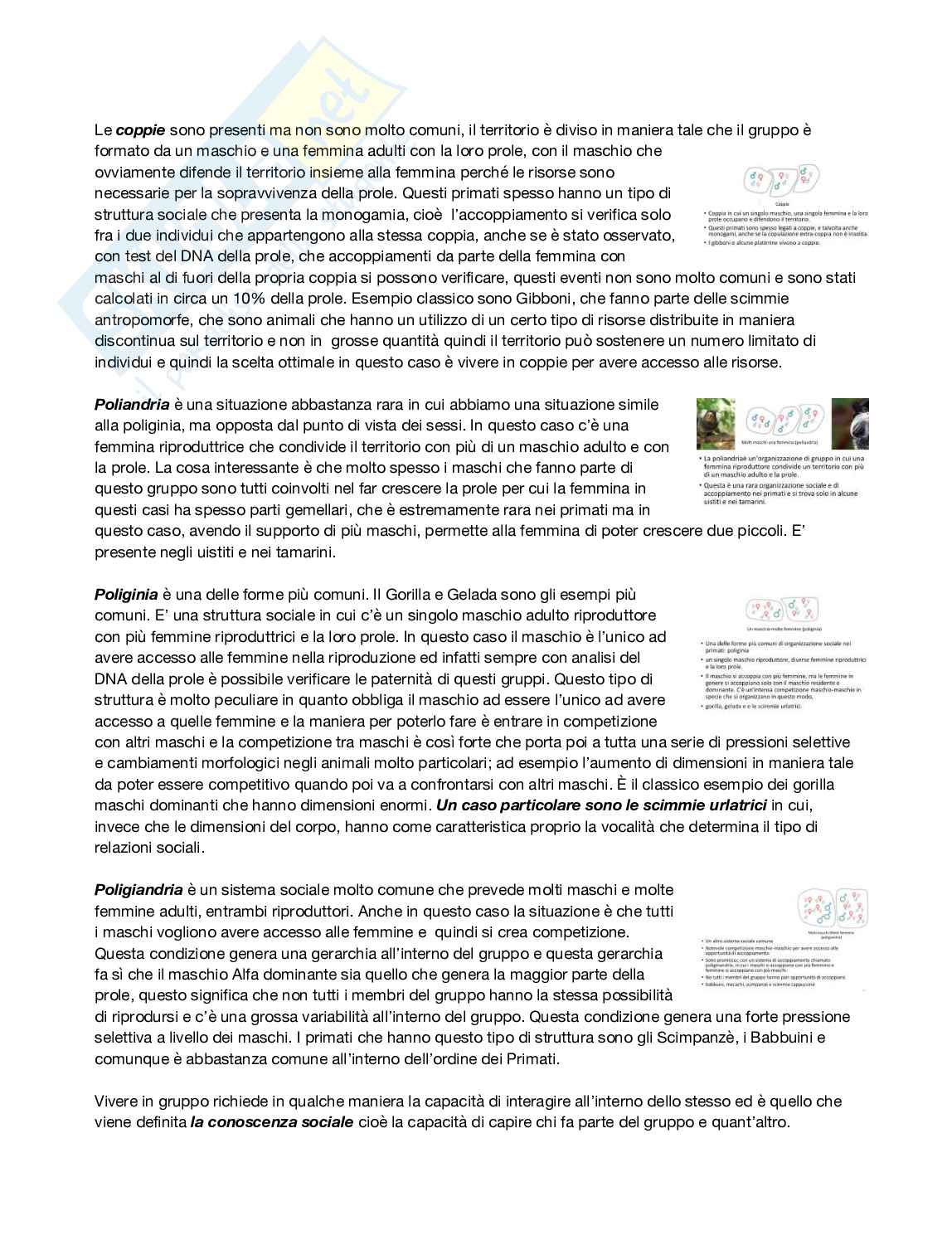 Antropologia  Pag. 31