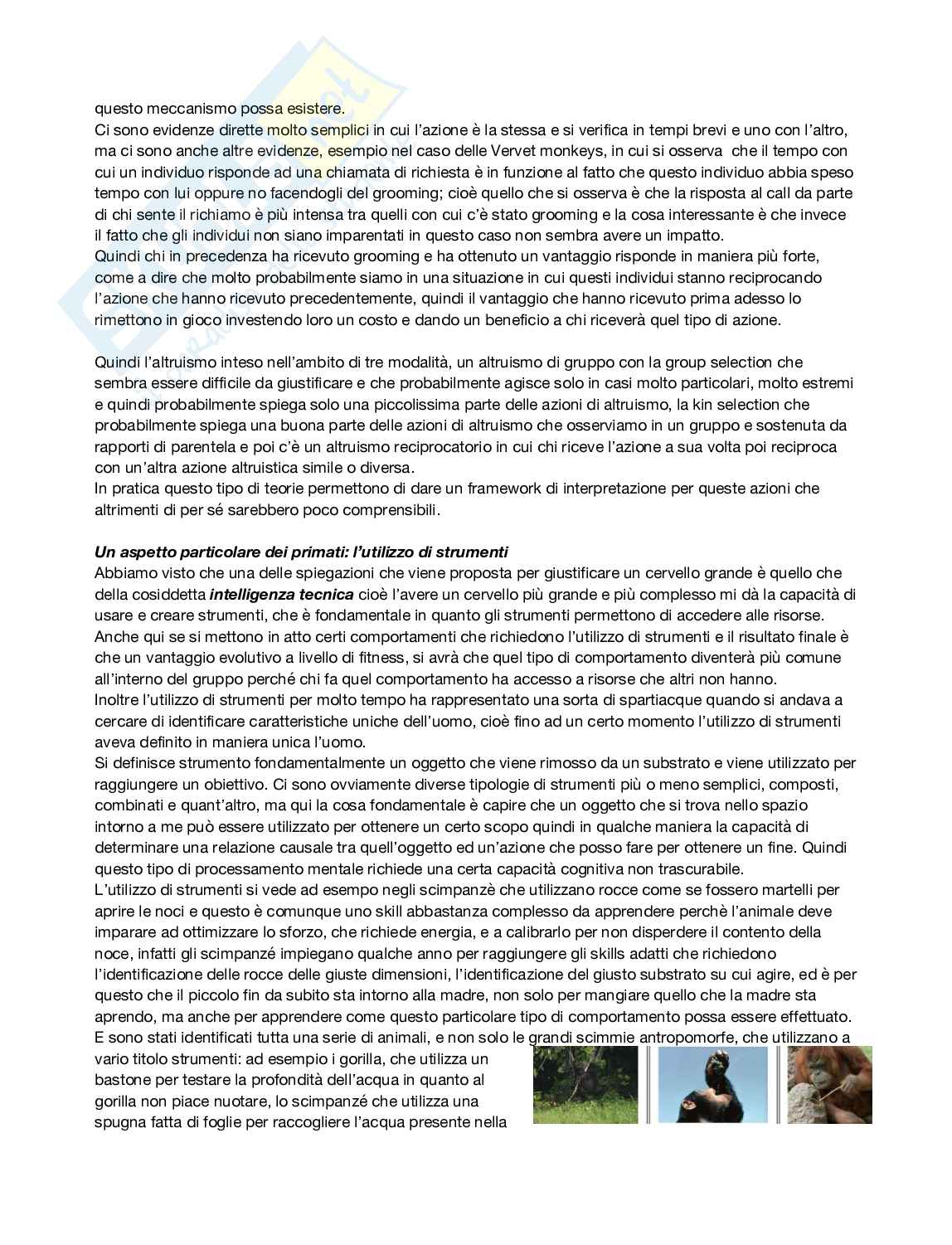 Antropologia  Pag. 36