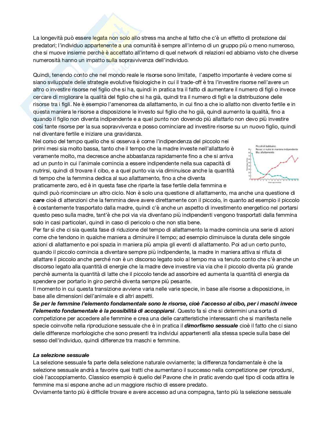 Antropologia  Pag. 41