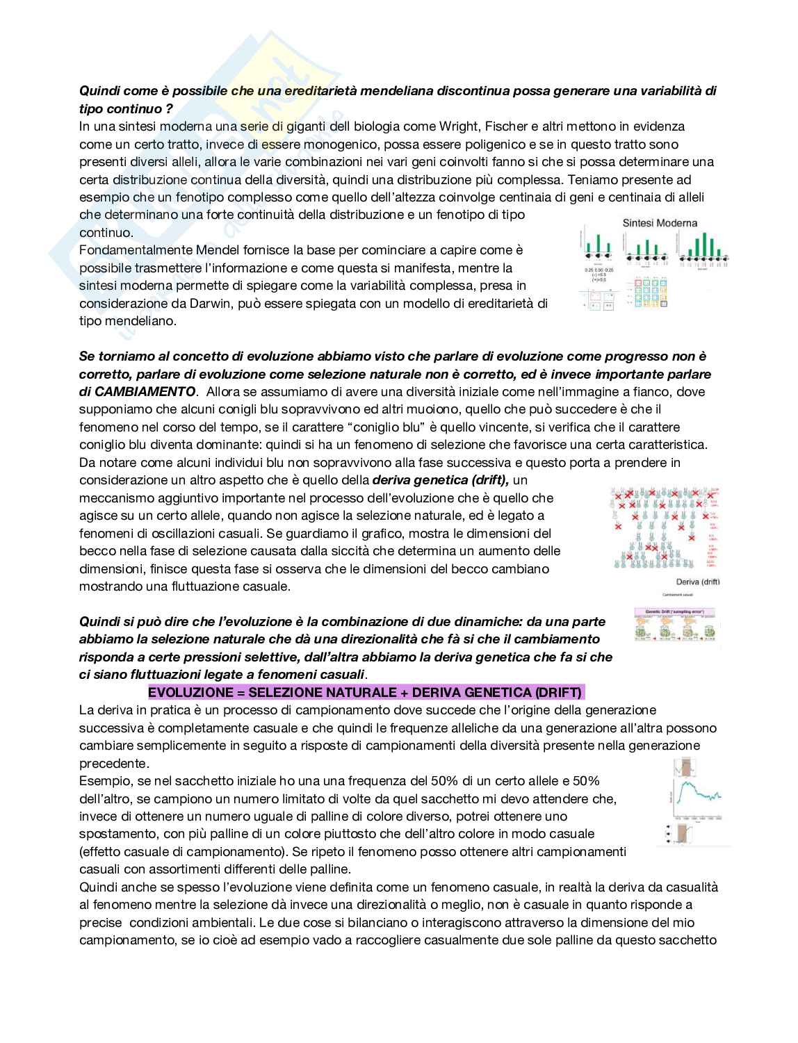 Antropologia  Pag. 6