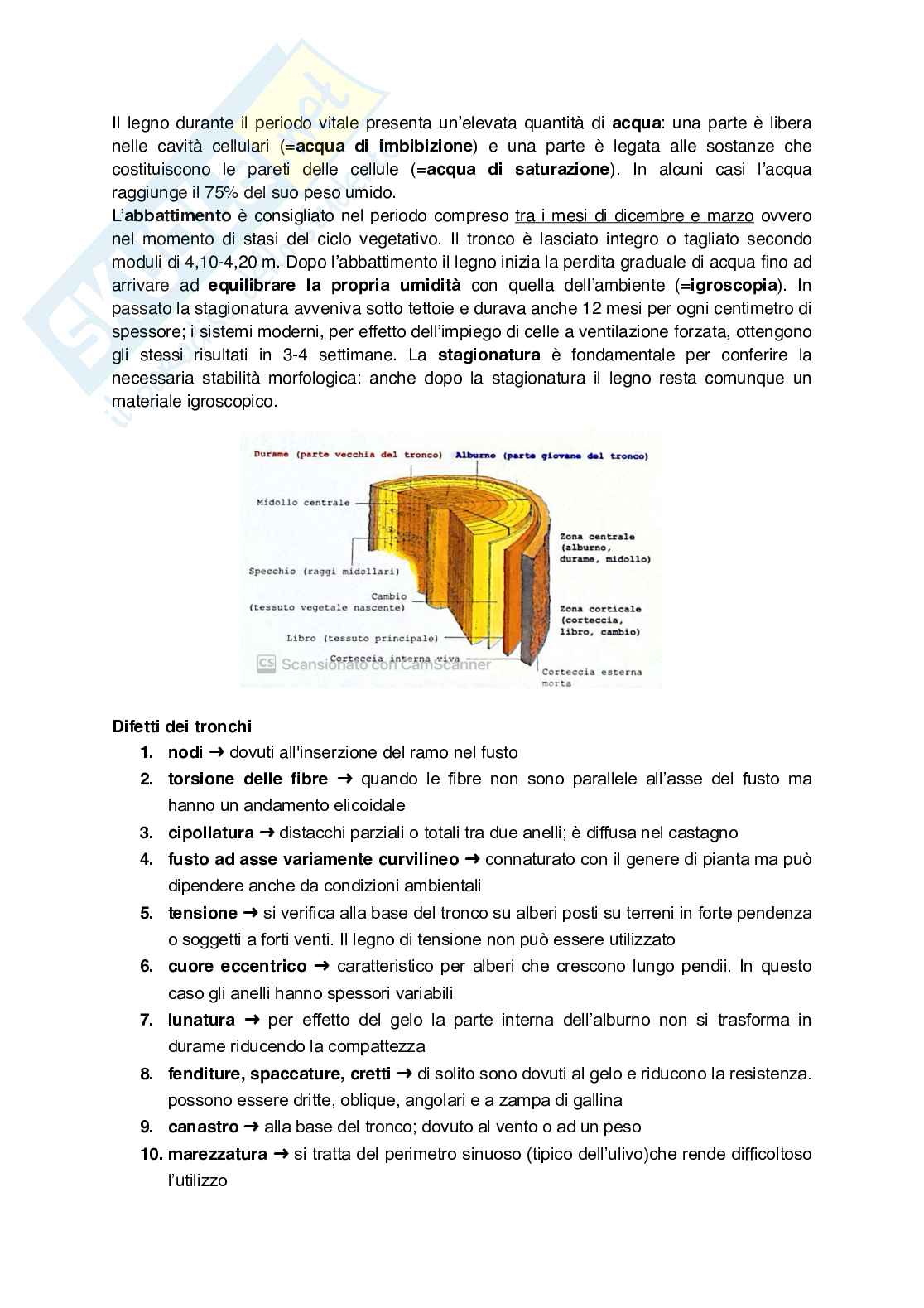Materiali lignei Pag. 2
