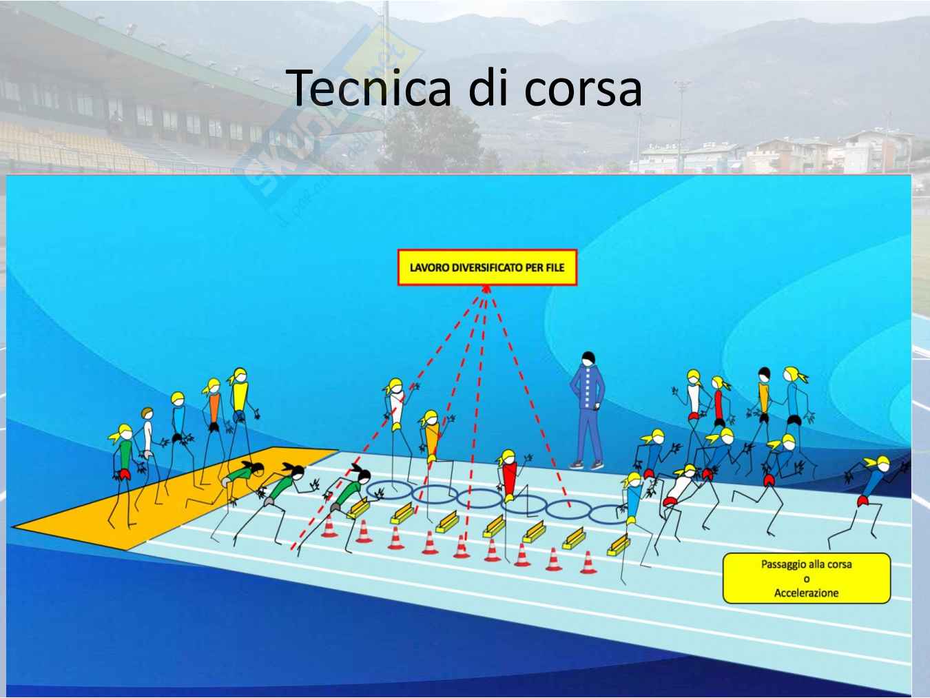 Capacità coordinative e condizionali  Pag. 11