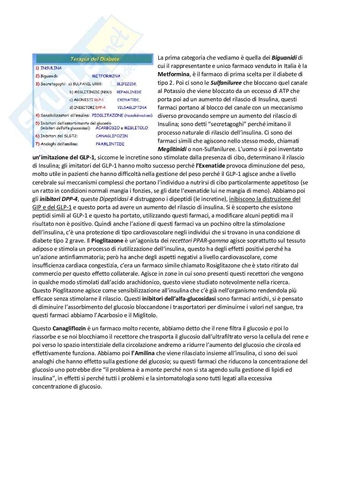 Farmacoterapia 2 - Parte 3 di 4 sul diabete Pag. 6