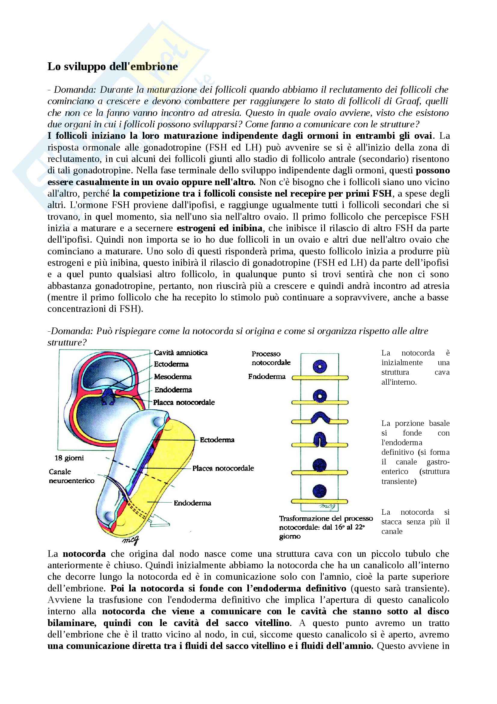 Neurulazione, Neurogenesi e Ripiegamento dell'embrione, Embriologia Pag. 1