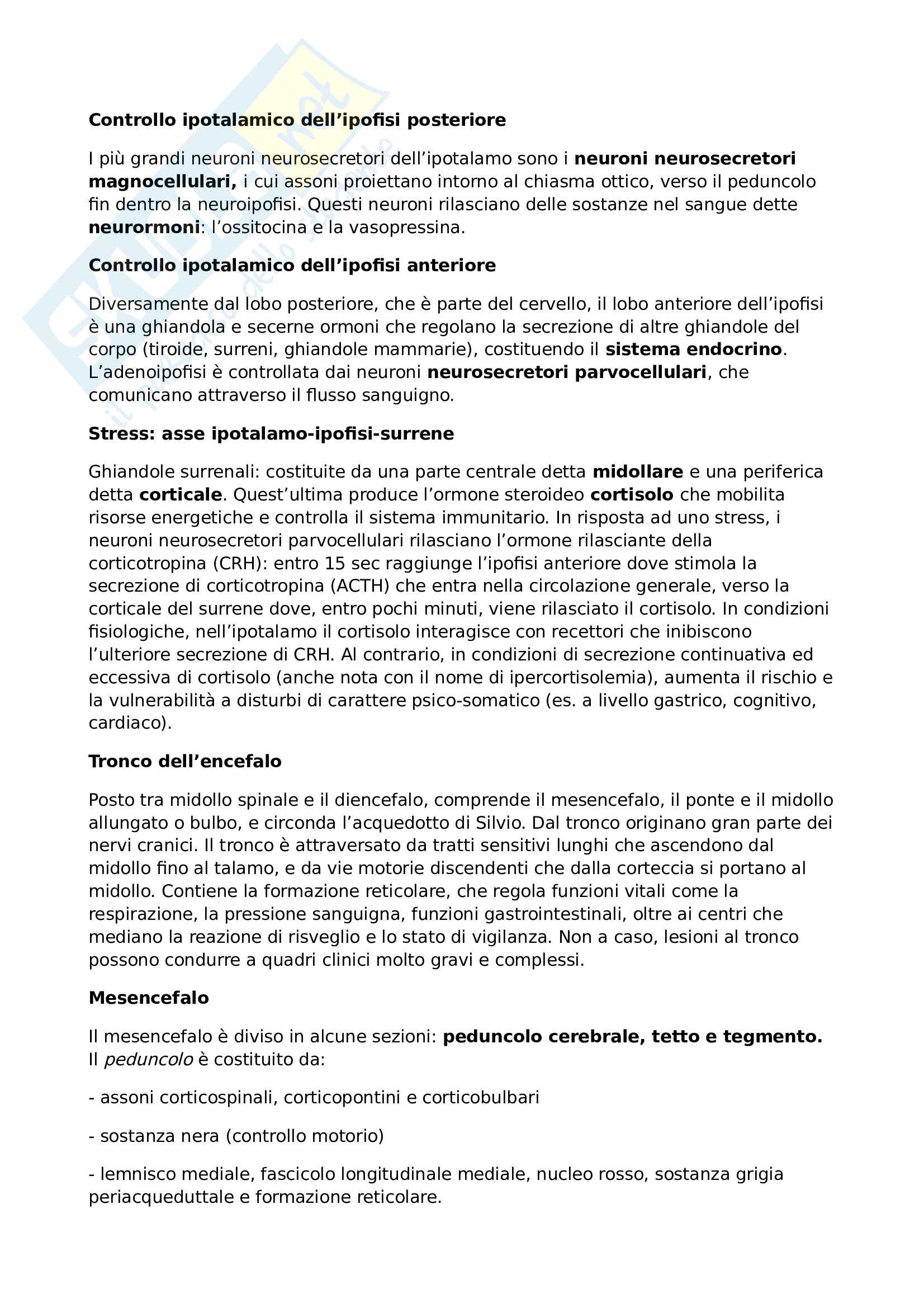 Riassunto esame Fondamenti anatomo-fisiologici dell'attività psichica, prof. Perri, libri consigliati: Principi di Neuroscienze, Kandel, Sckwartz, Jessel; Neuroscienze, Bear, Connors, Paradiso Pag. 16