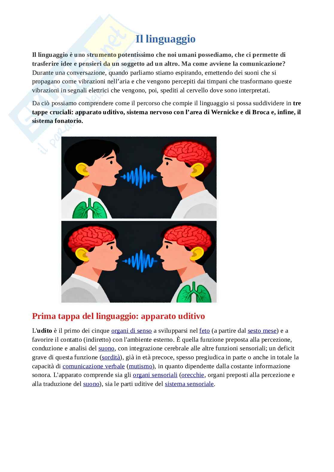 Fisiologia del linguaggio  Pag. 1