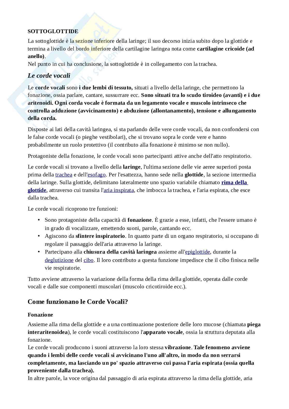 Fisiologia del linguaggio  Pag. 11