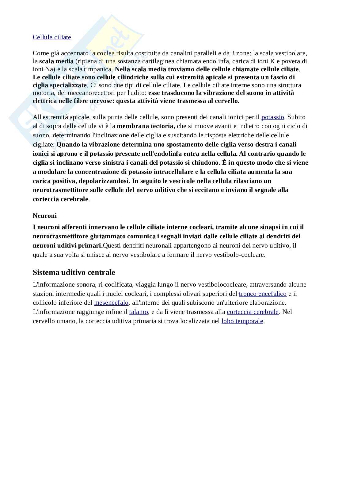 Fisiologia del linguaggio  Pag. 6