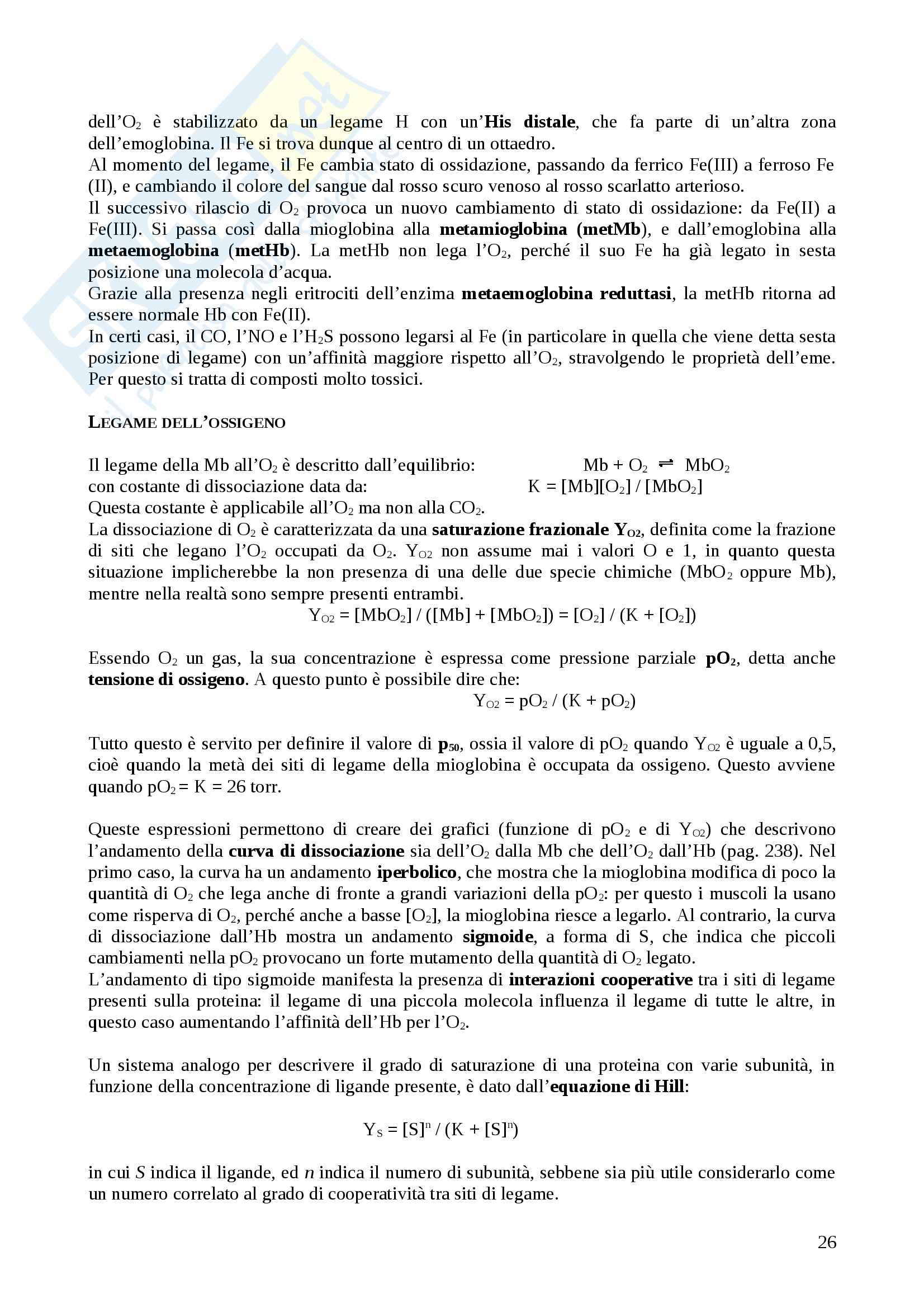 Riassunto esame Biochimica, prof. Ascenzi, libro consigliato Biochimica, Voet & Voet, ediz 2005 Pag. 26