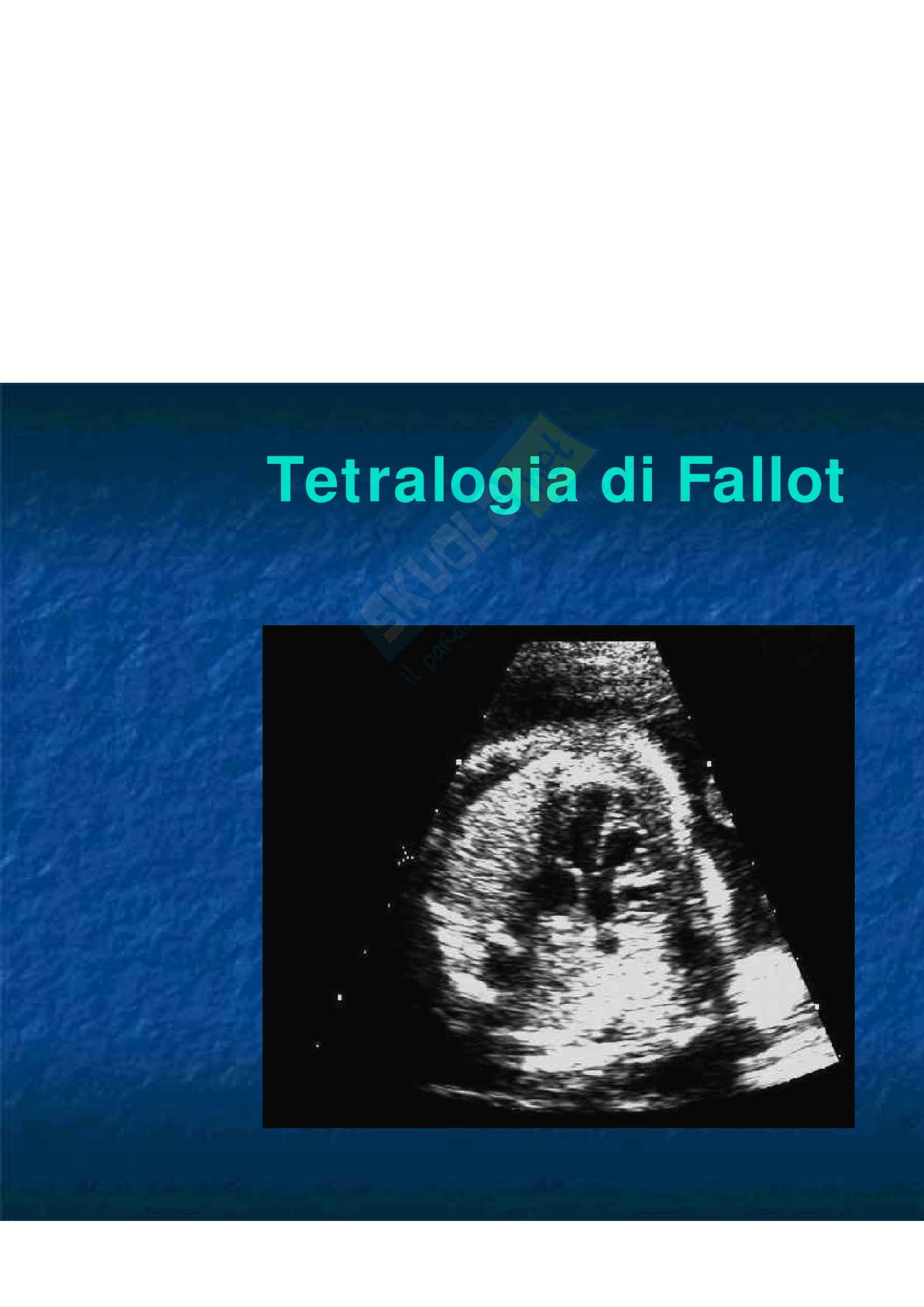 Cardiologia - circolazione extracorporea Pag. 61