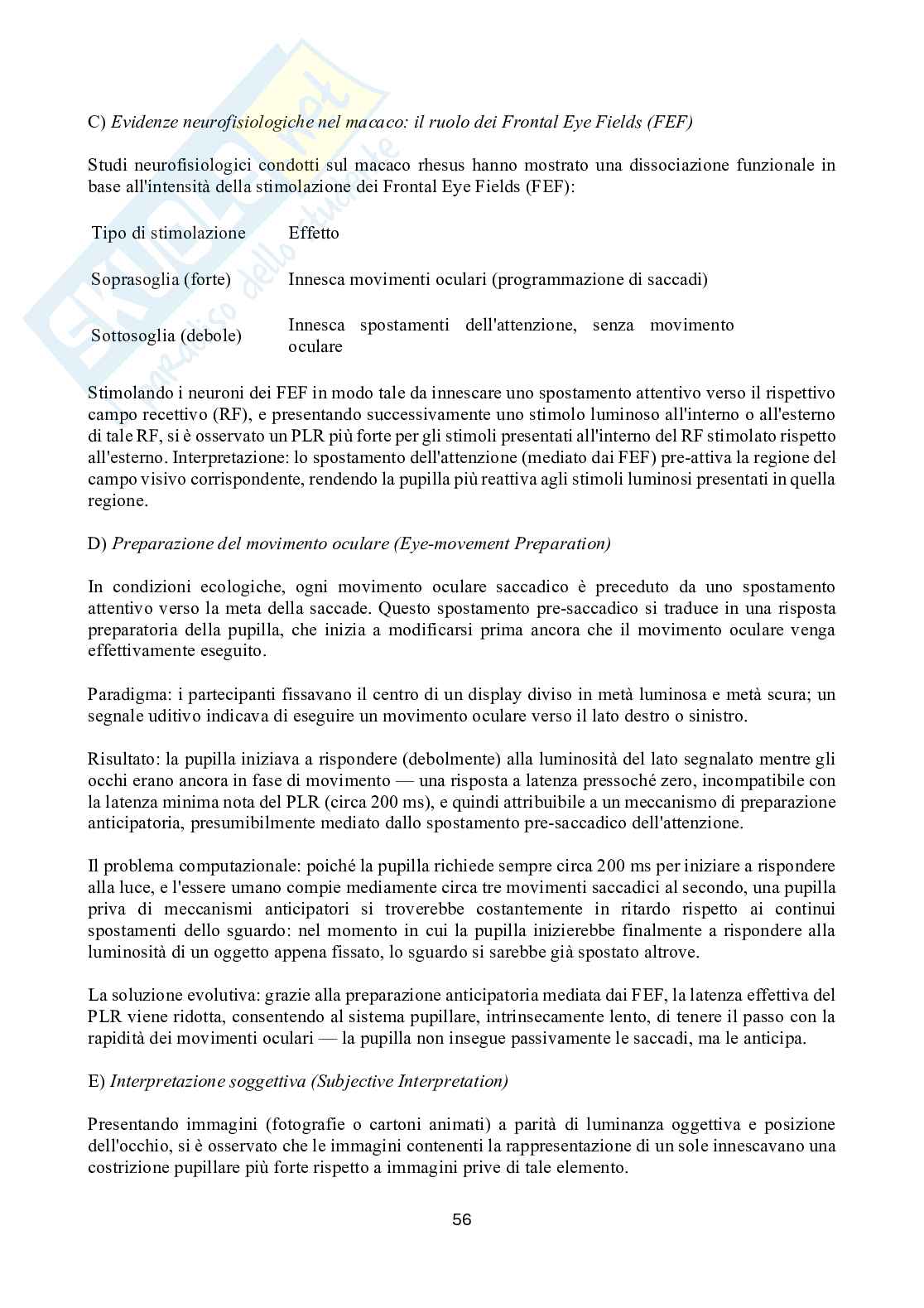 Appunti esame Psicofisiologia sperimentale Pag. 56