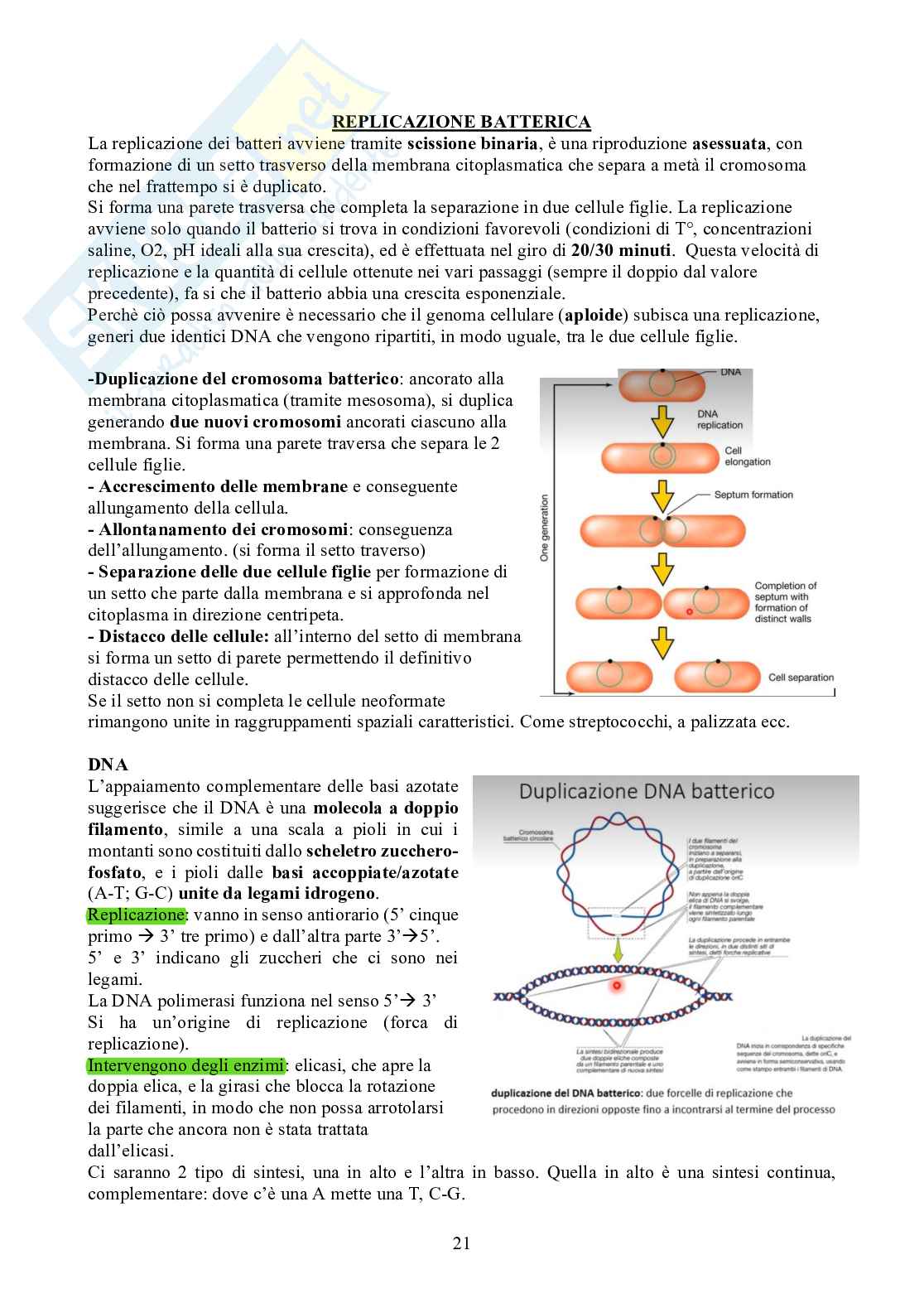 Microbiologia - Appunti Pag. 21