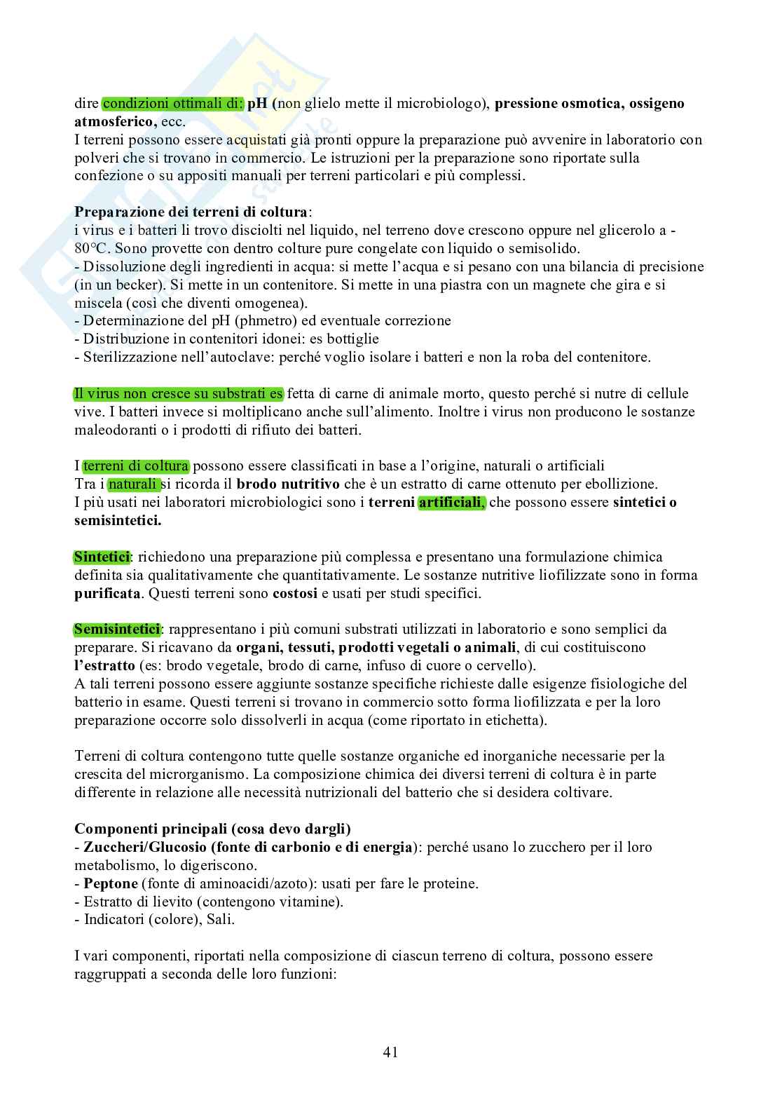 Microbiologia - Appunti Pag. 41