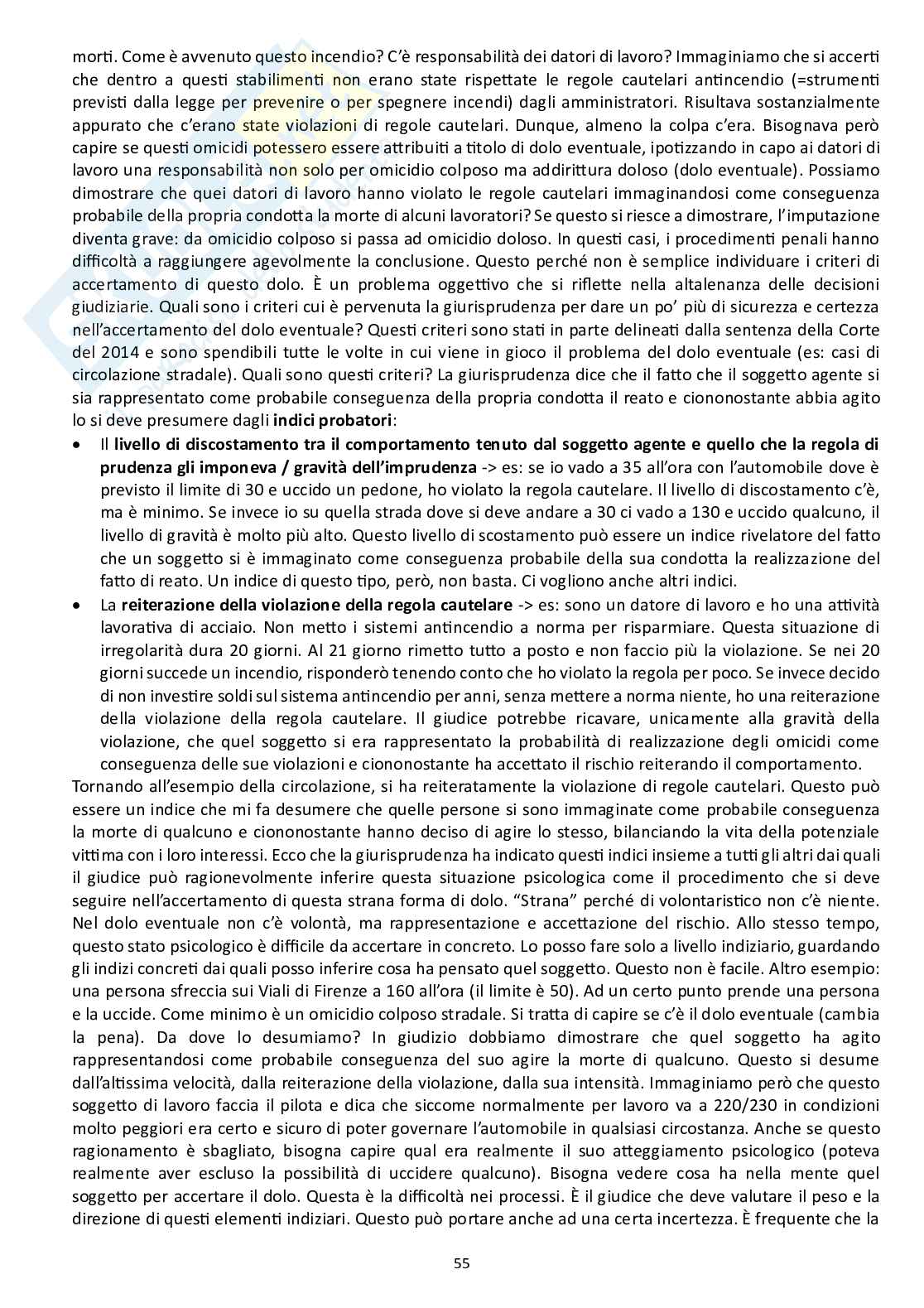 Appunti delle lezioni di diritto penale I concernenti gli elementi oggettivi e soggettivi del fatto tipico Pag. 21