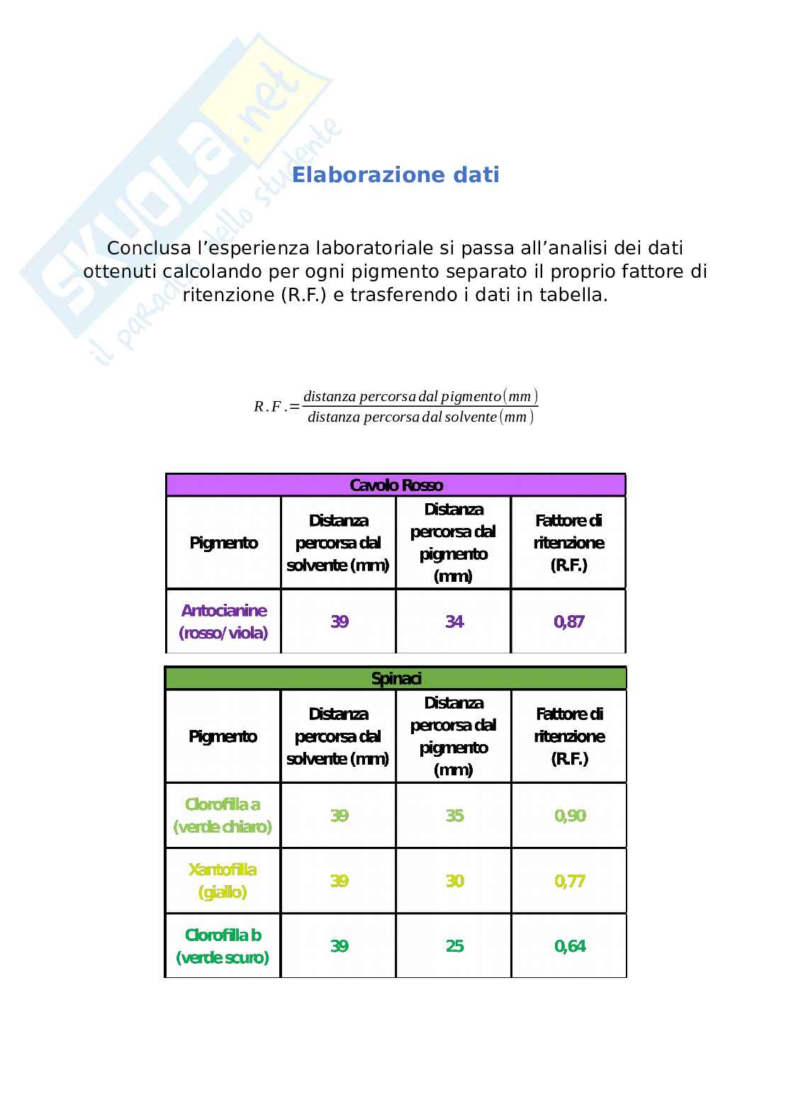 Relazione di Zoologia Pag. 6