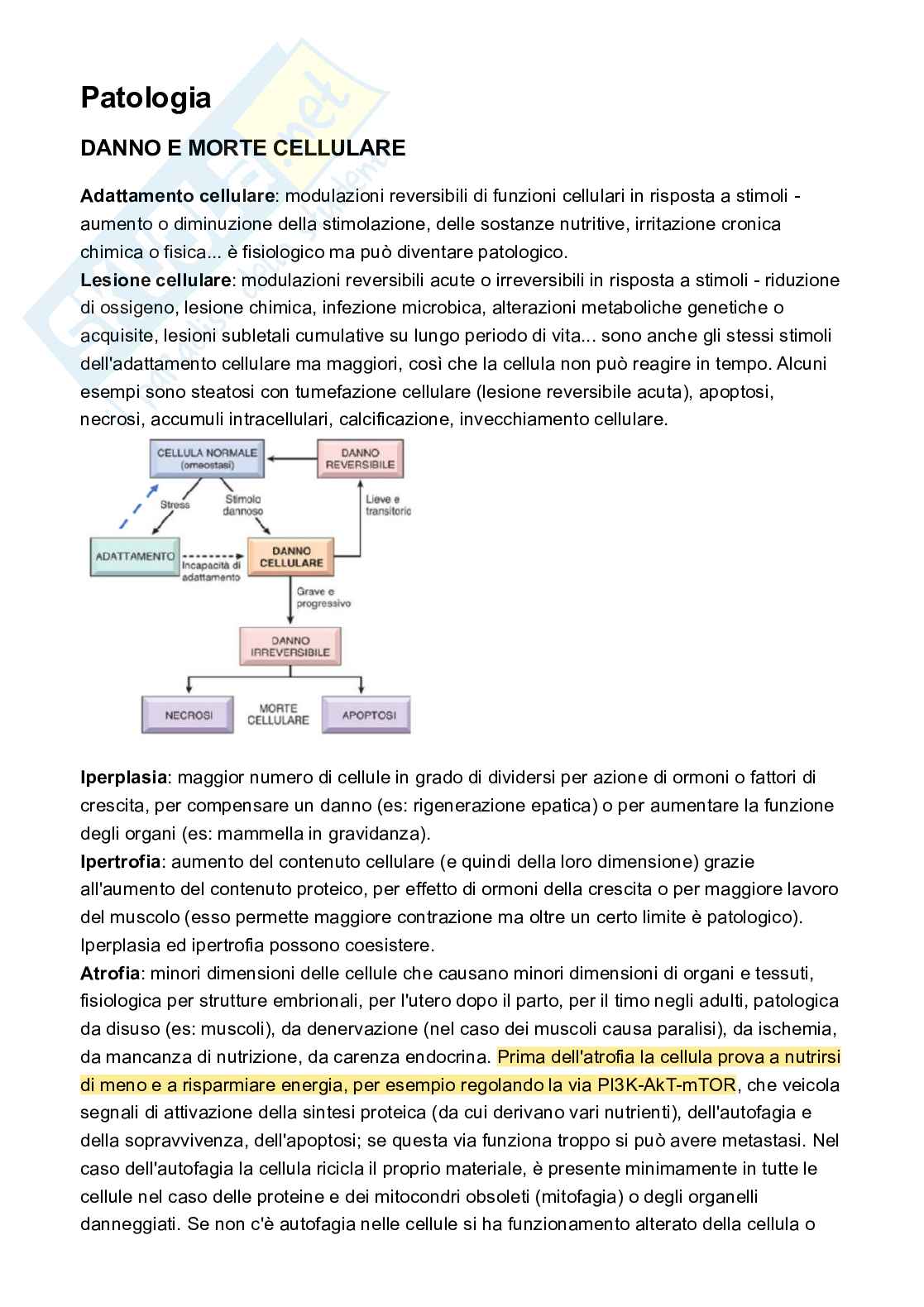 Appunti Patologia e fisiopatologia Pag. 1