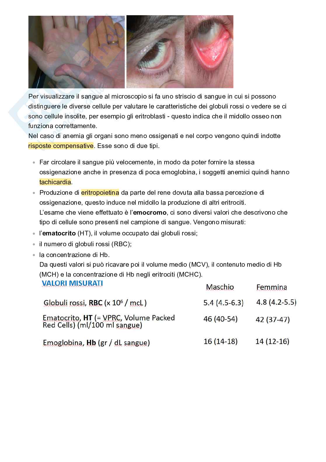 Appunti Patologia e fisiopatologia Pag. 11