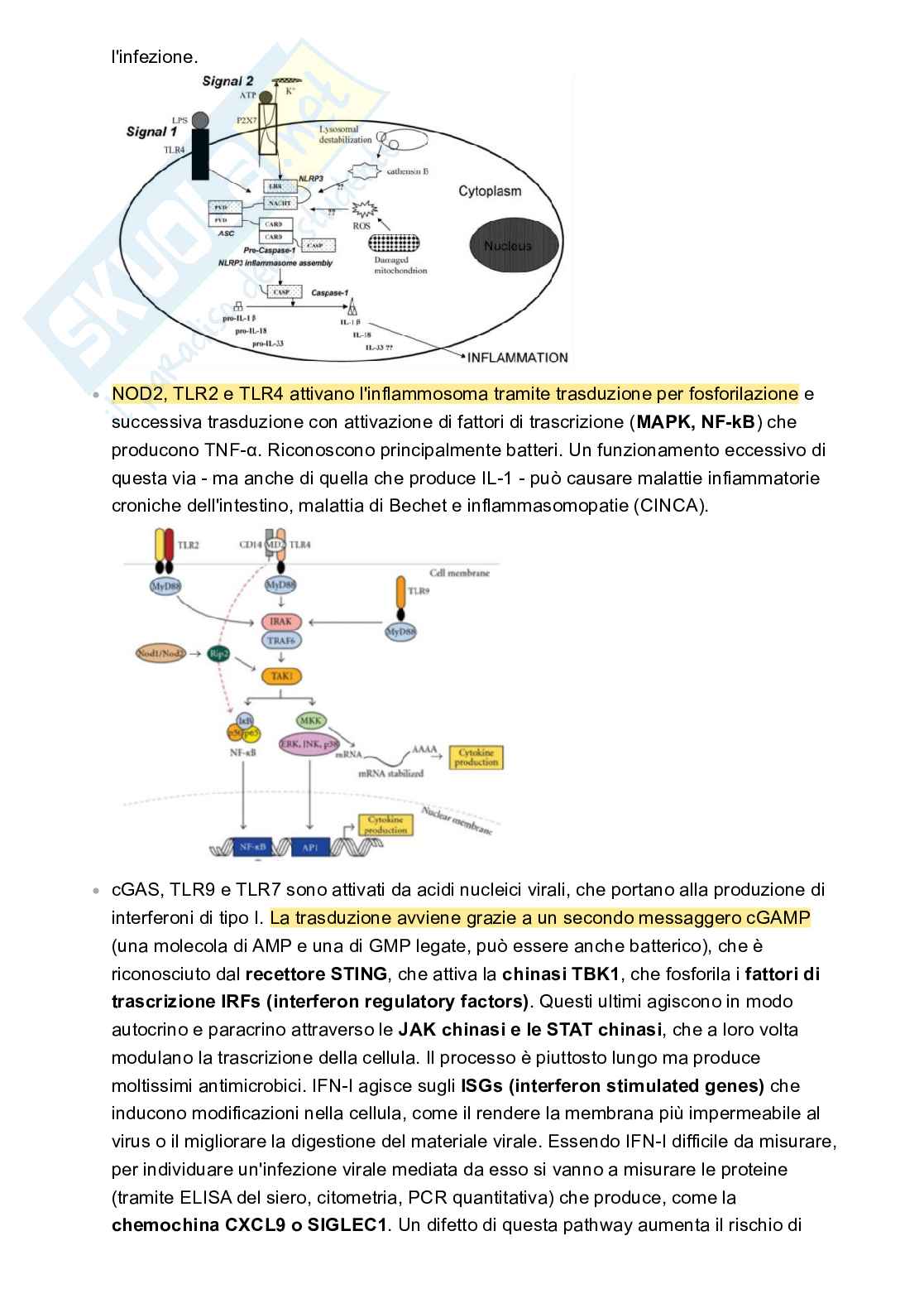 Appunti Patologia e fisiopatologia Pag. 21