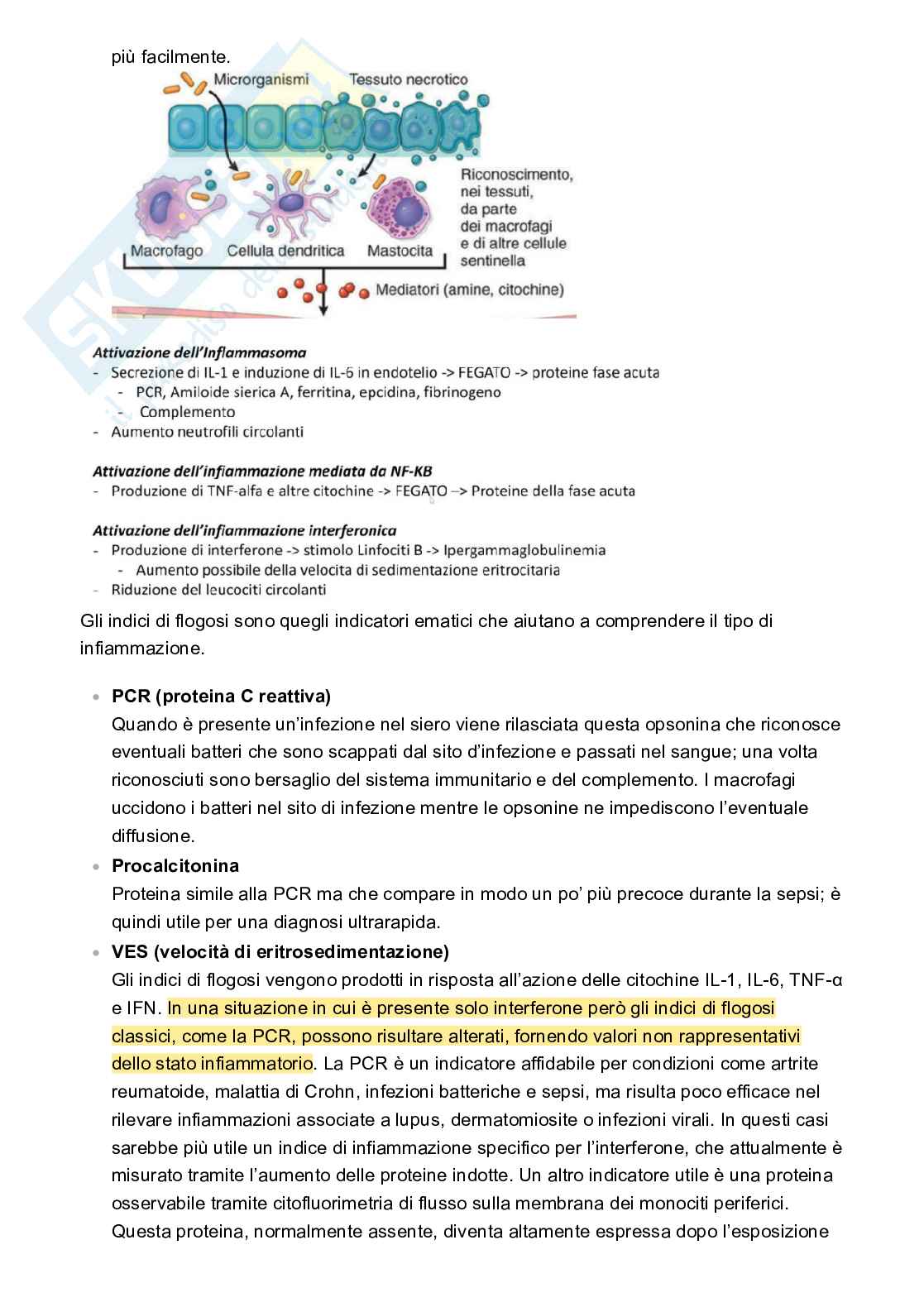 Appunti Patologia e fisiopatologia Pag. 26