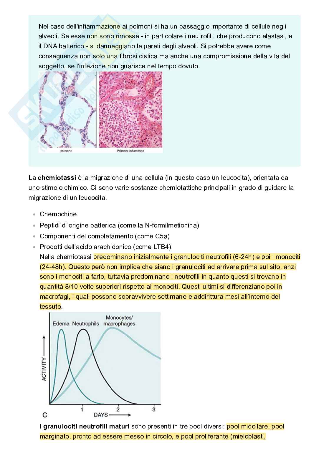 Appunti Patologia e fisiopatologia Pag. 31