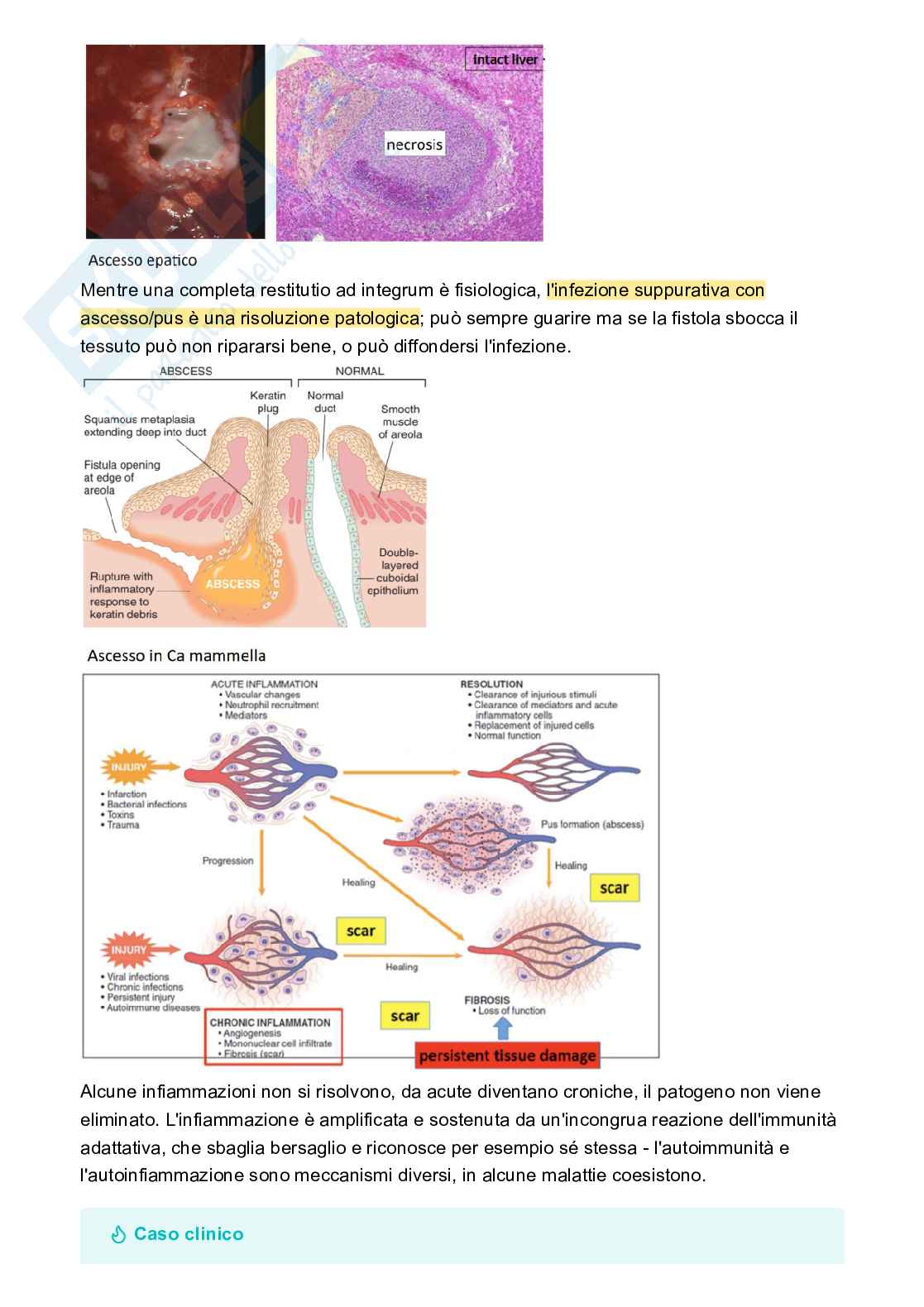 Appunti Patologia e fisiopatologia Pag. 36